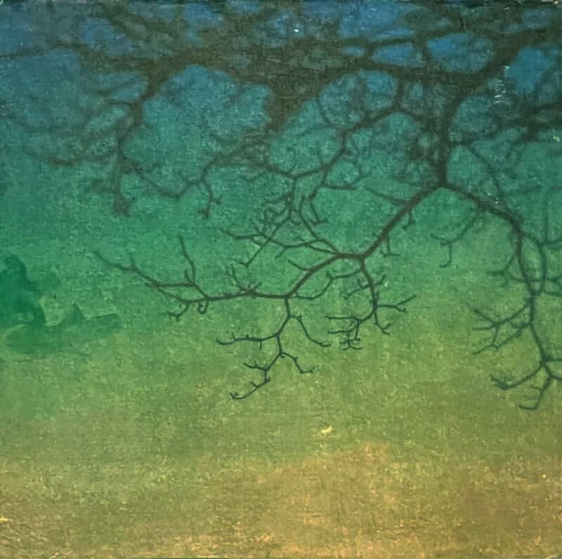 miho-kajioka-cl0018-2021-print-sales-gallery-the-photographers