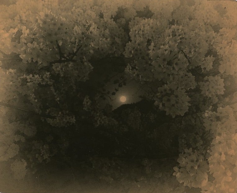 Miho Kajioka, BK0333, 2018