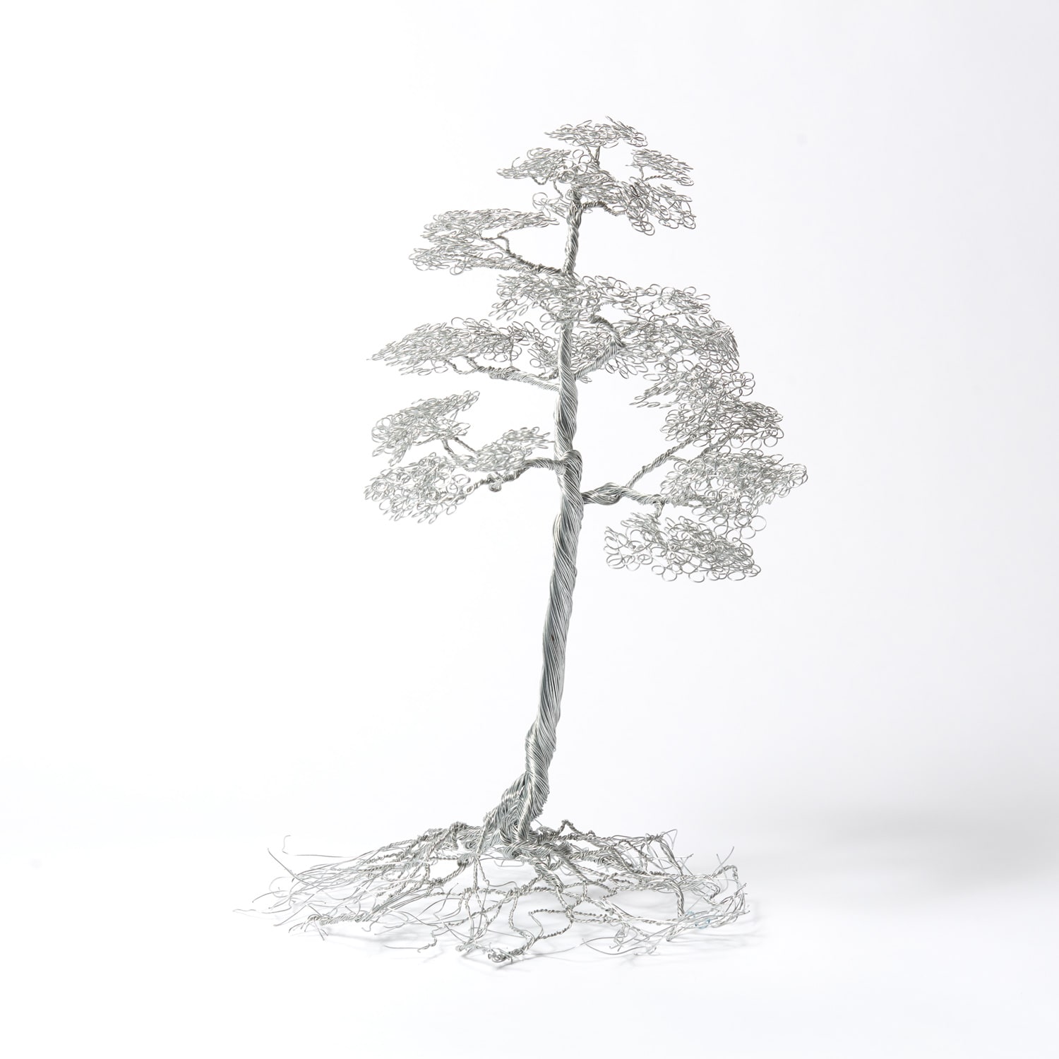 Soufien, Conifere, 2019