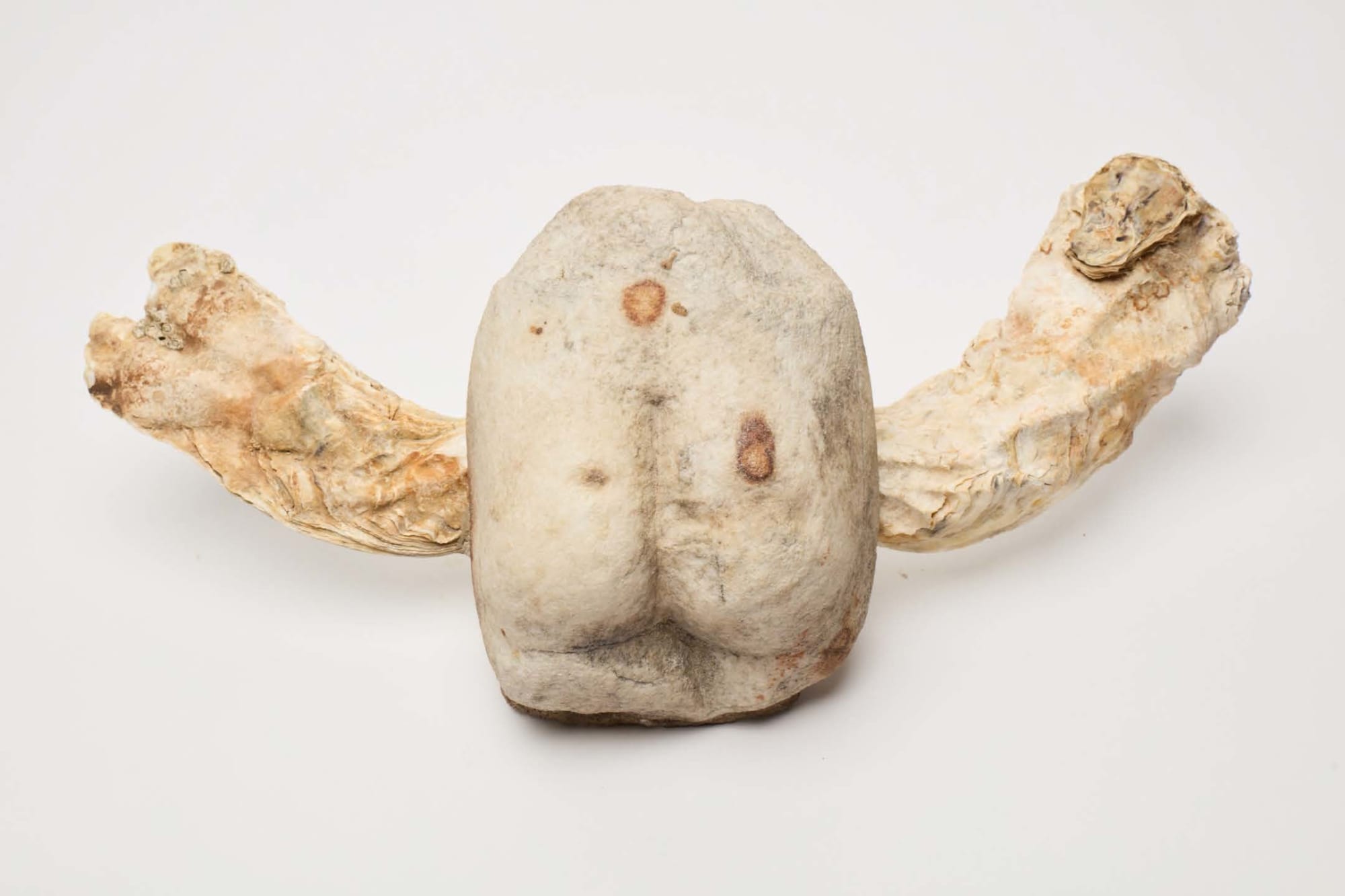 Nicolas Lefebvre, Prunelle, 2024