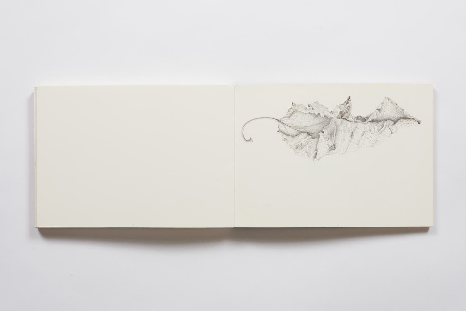 Rebecca John, A Book of Leaves II. October 2000 – January 2016, 2000-2016