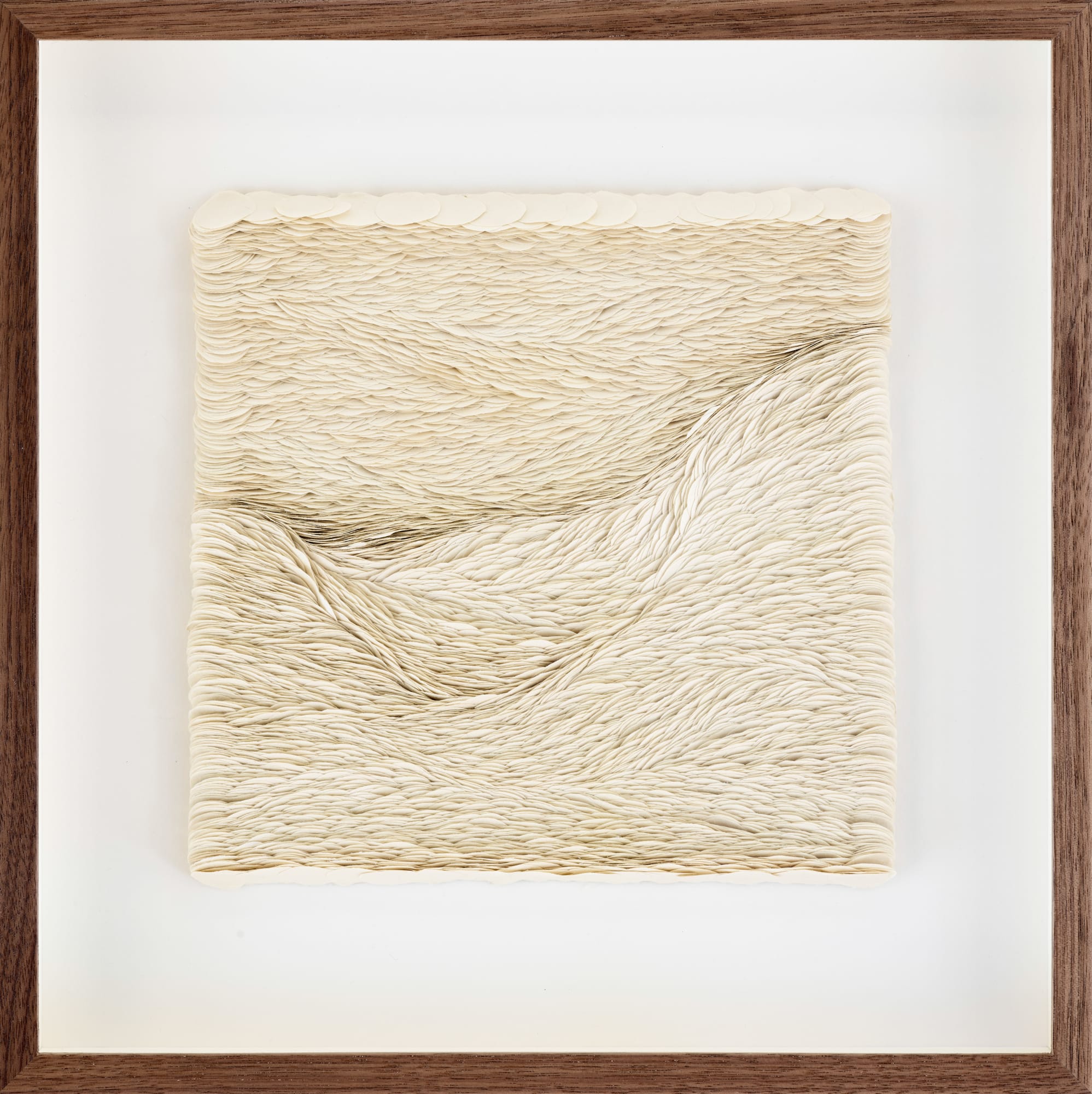 Alice von Maltzahn, Animate Matter, 2023