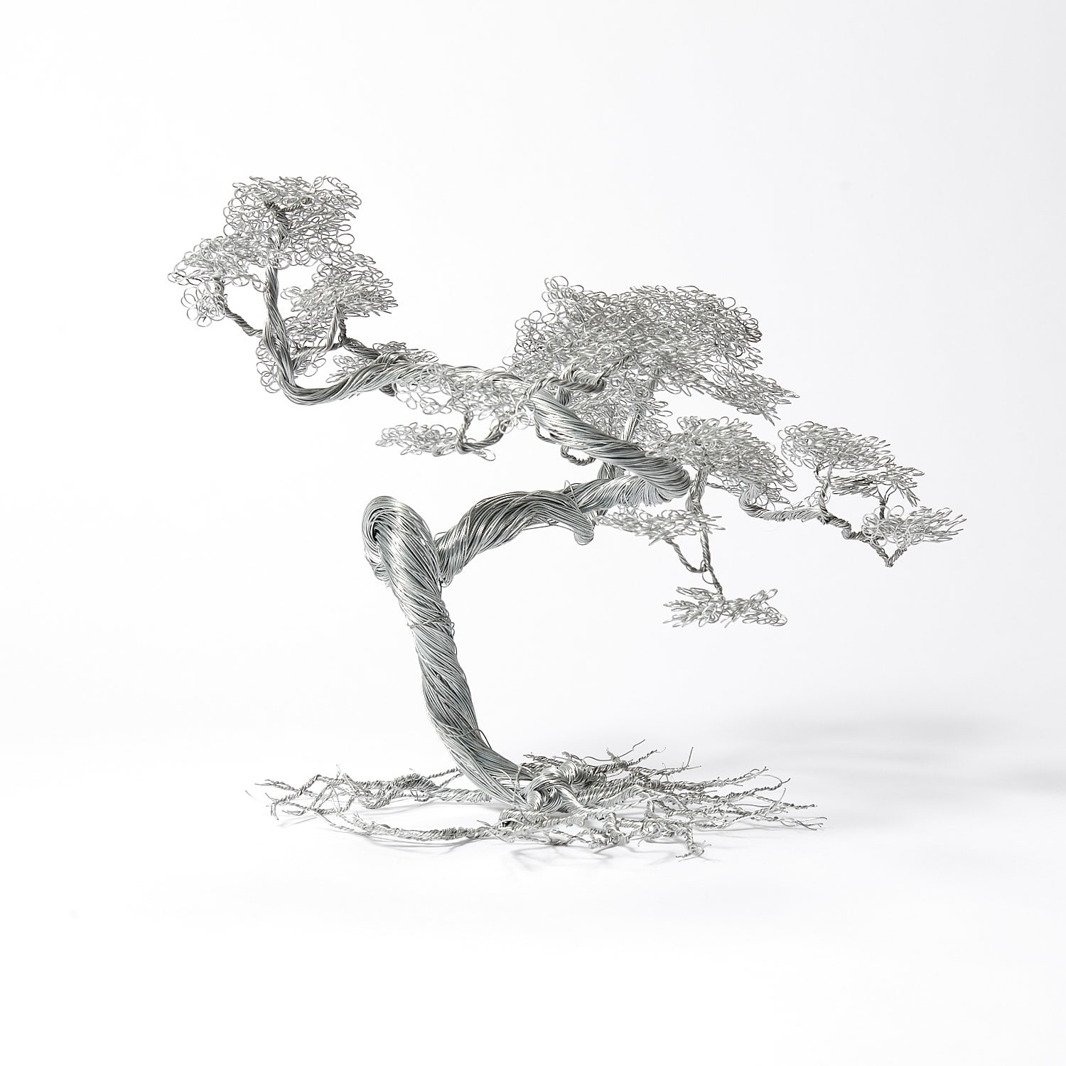 Soufien, Arbre Dans Le Vent, 2019