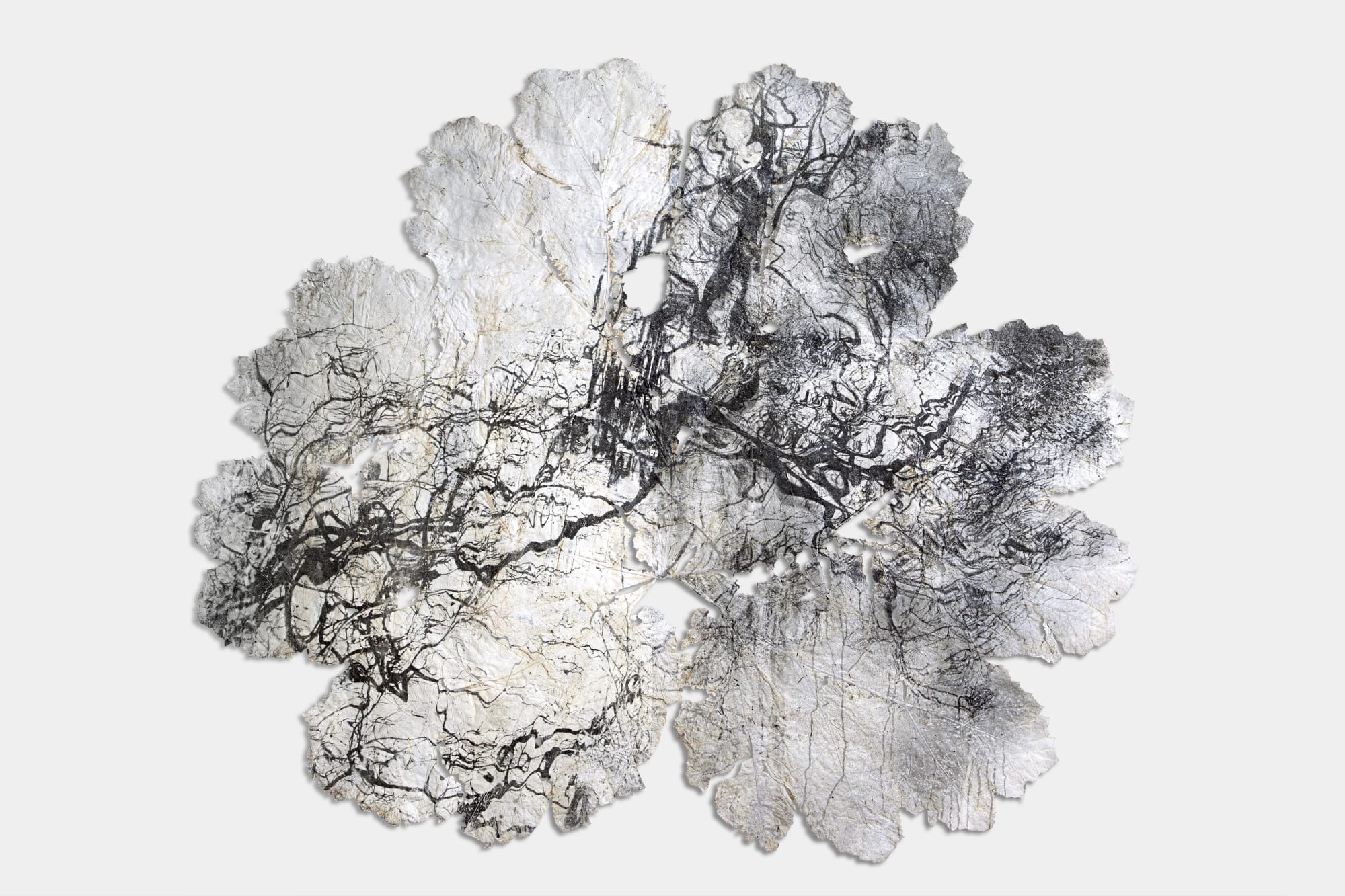 Dominique Lacloche, Leaf I, 2019