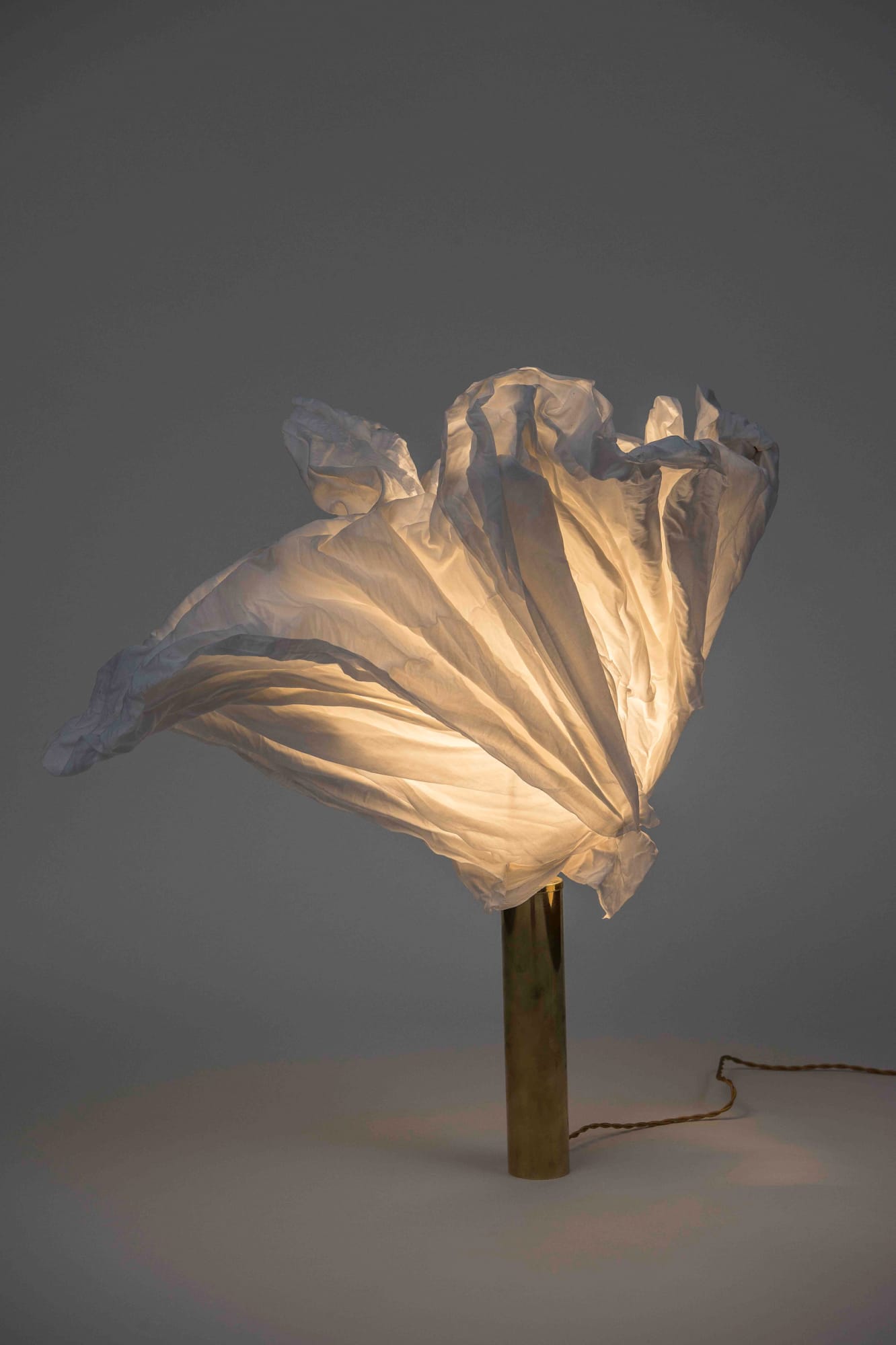 Orsina Sforza, Salesiana Candida, 2018