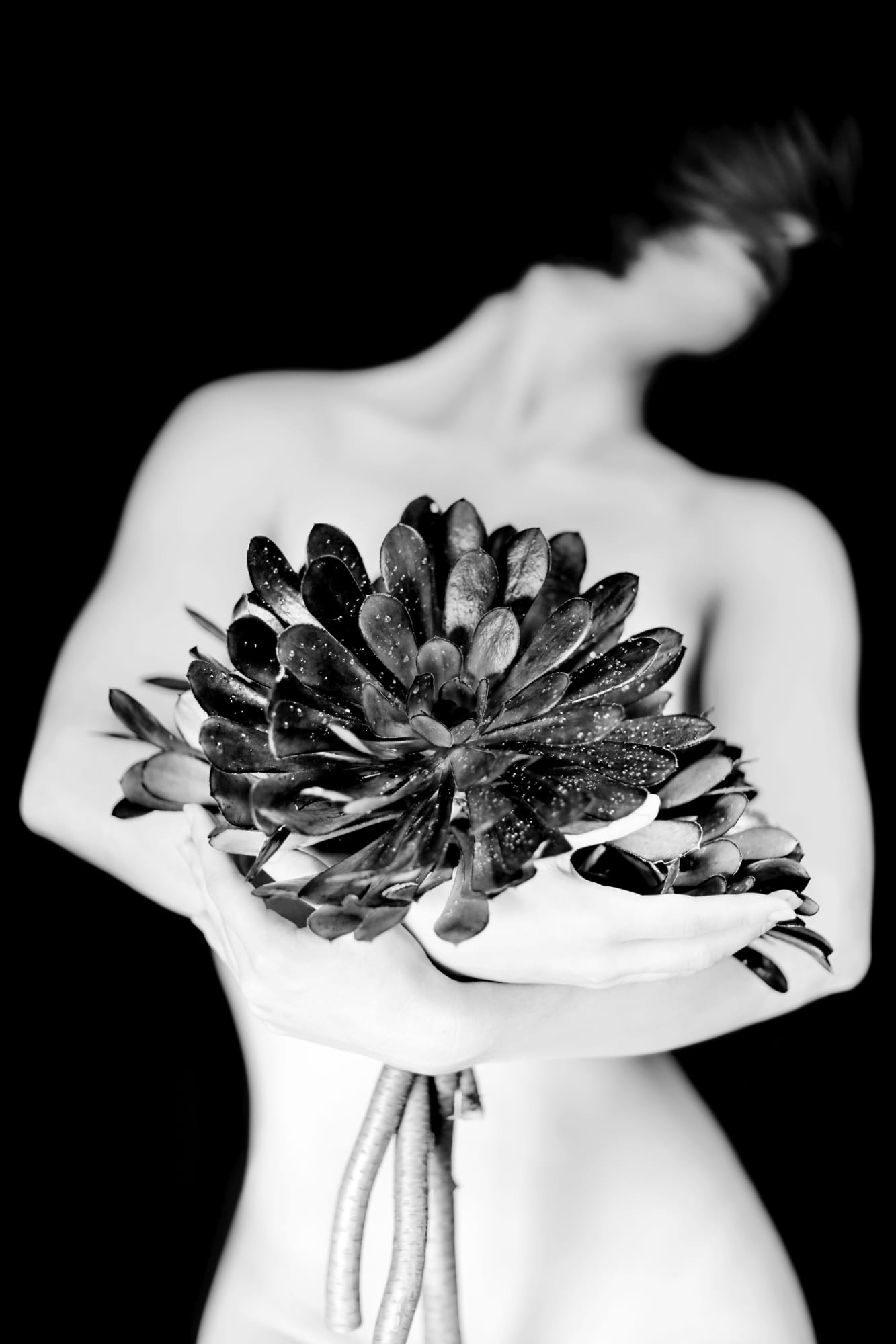 Maryam Eisler, Carmel I, 2018