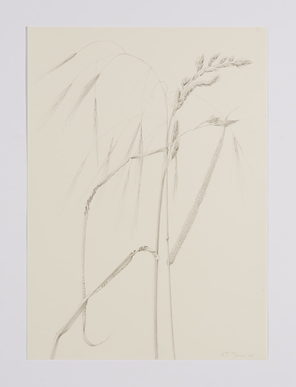 Rebecca John, June Grasses I. Wales, 5-6 June 2005, 2005