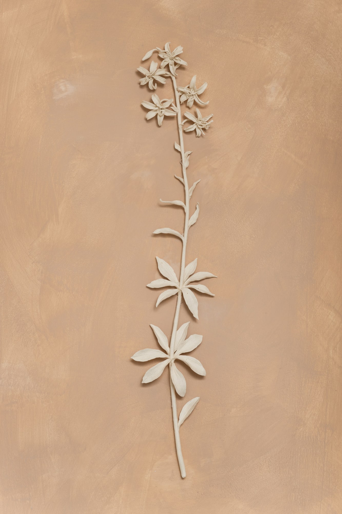 Kaori Tatebayashi, Martagon Lily (Single Stem), 2023