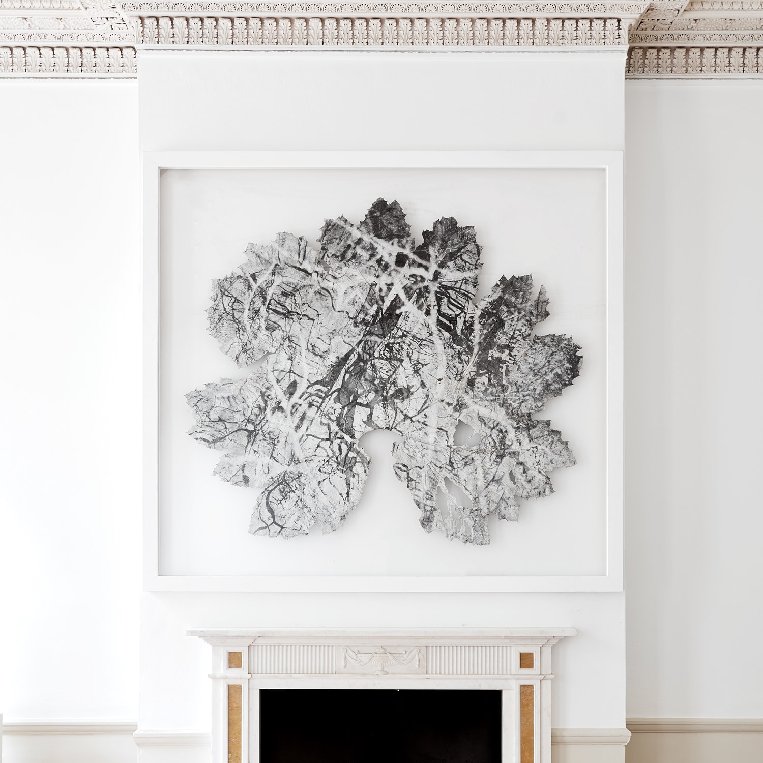 Dominique Lacloche, Leaf IV, 2019