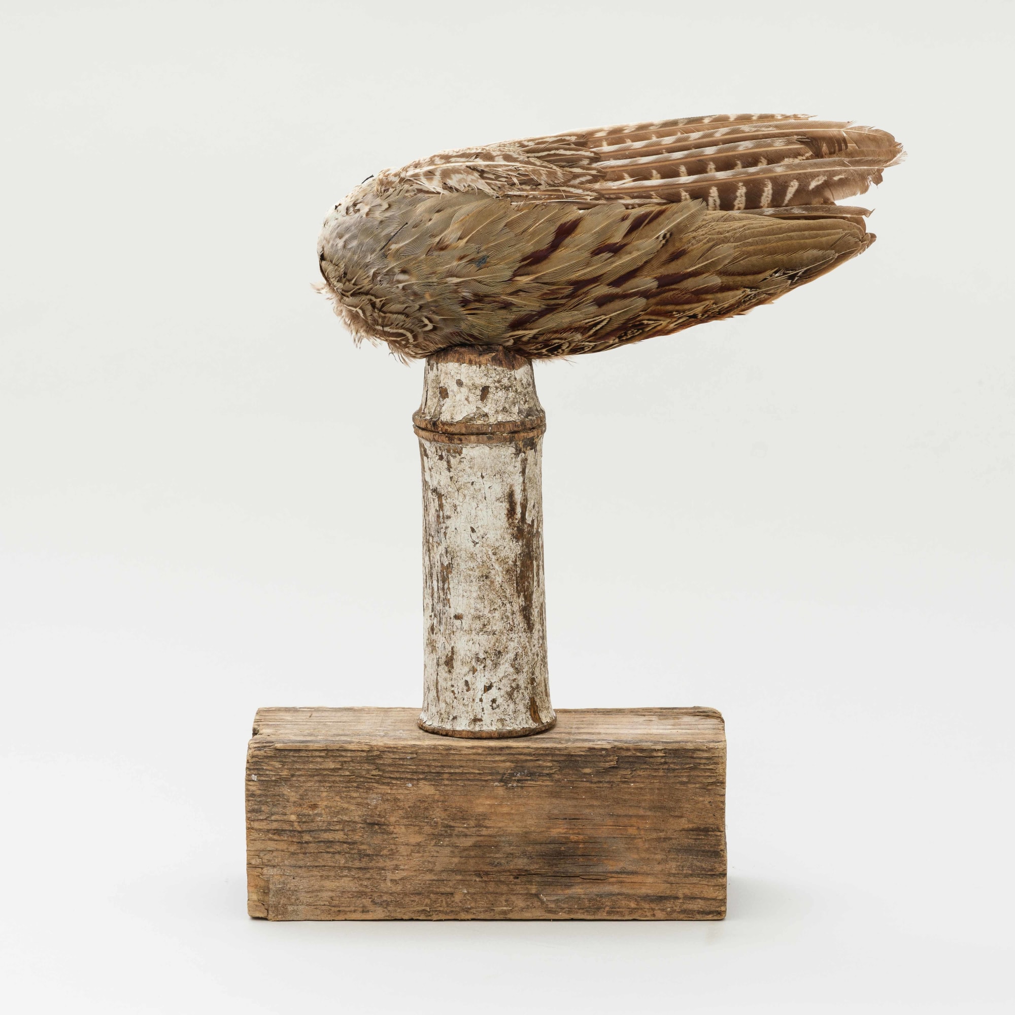 Nicolas Lefebvre, Samothrace, 2022