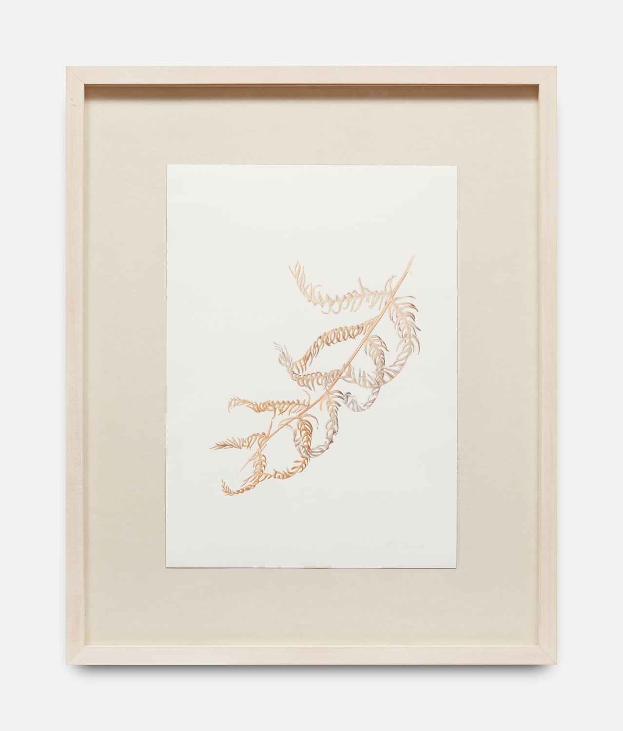 Rebecca John, Bracken, Ty Draw, January 2005, 2005