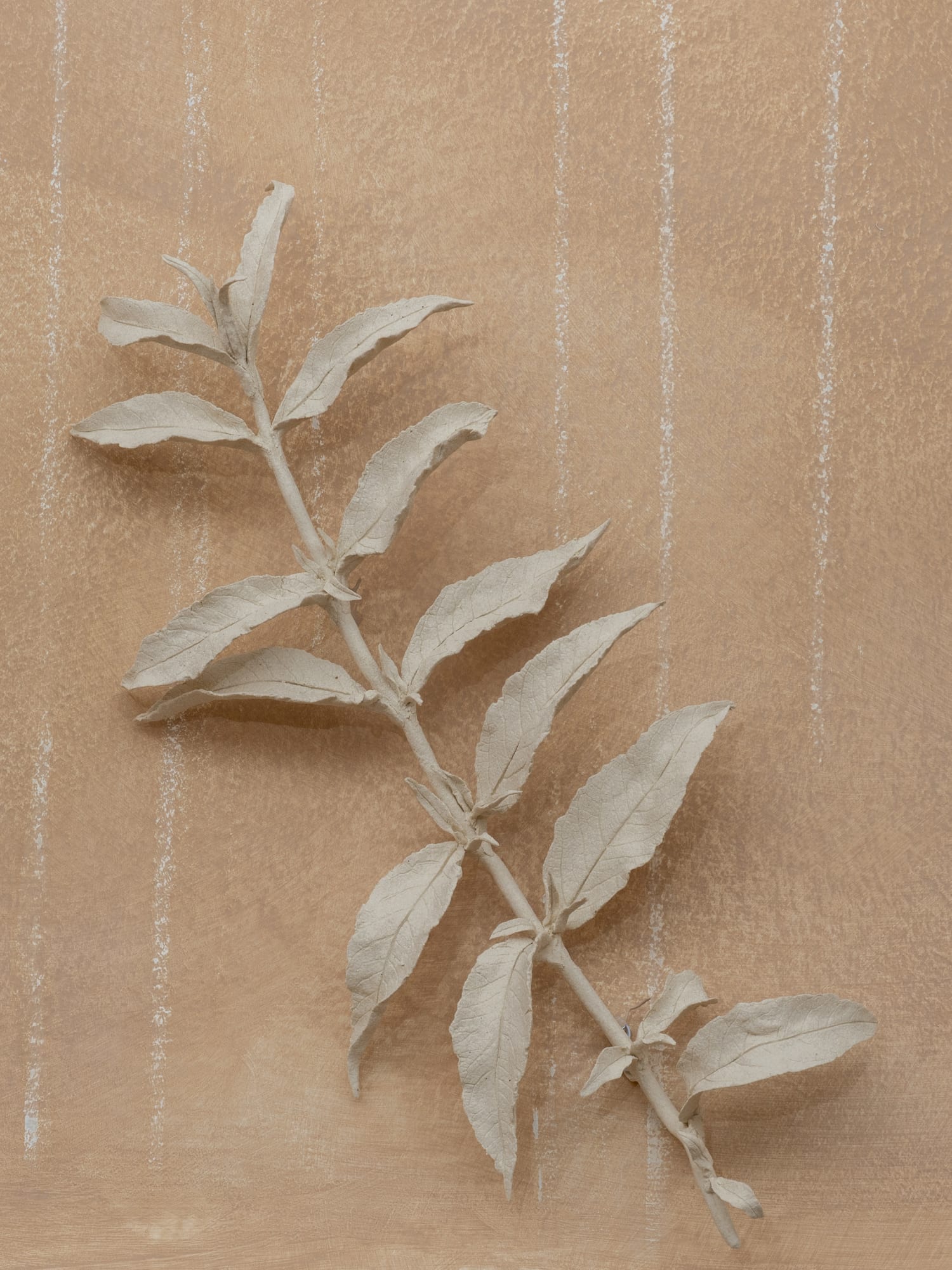 Kaori Tatebayashi, Buddleja small III, 2023