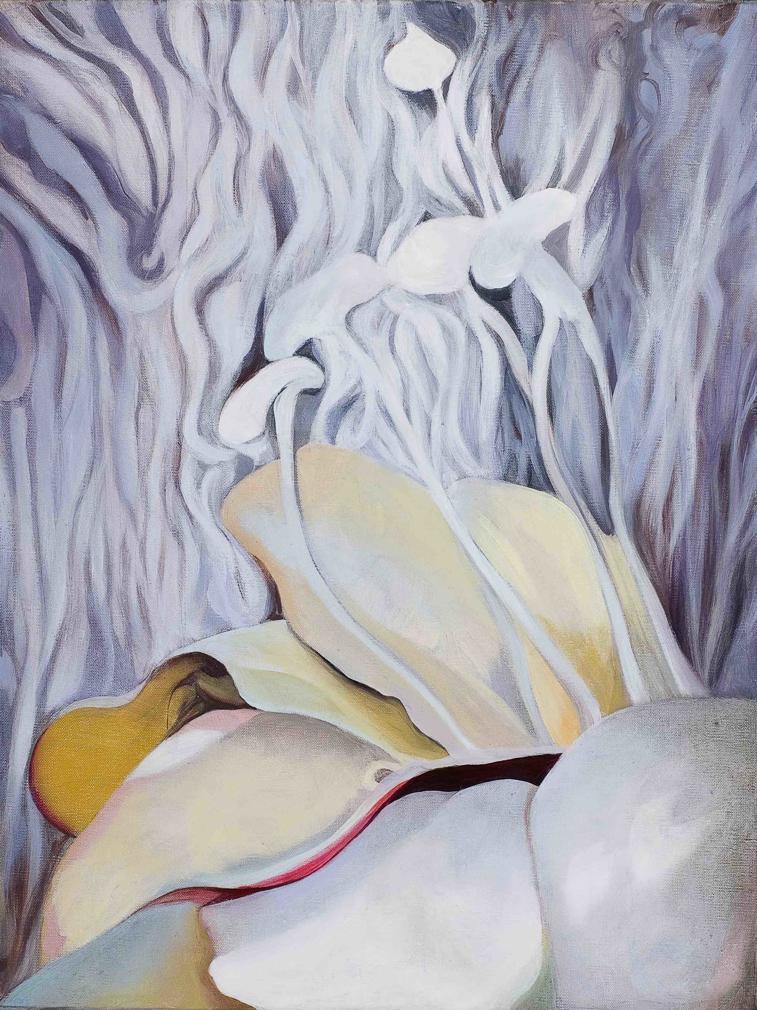 Orsina Sforza, Emerocalle, 2016