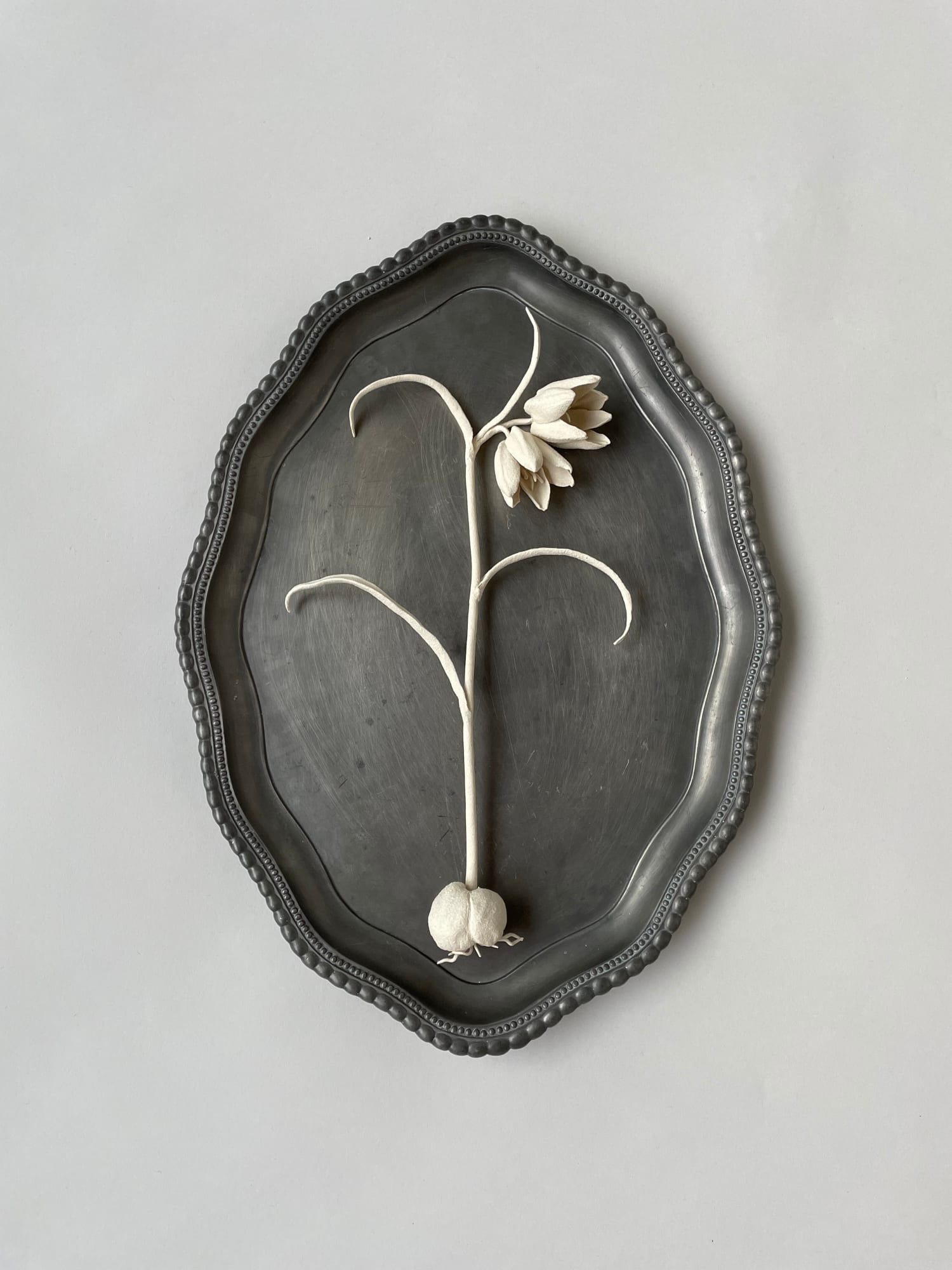 Kaori Tatebayashi, Fritillaria, 2023