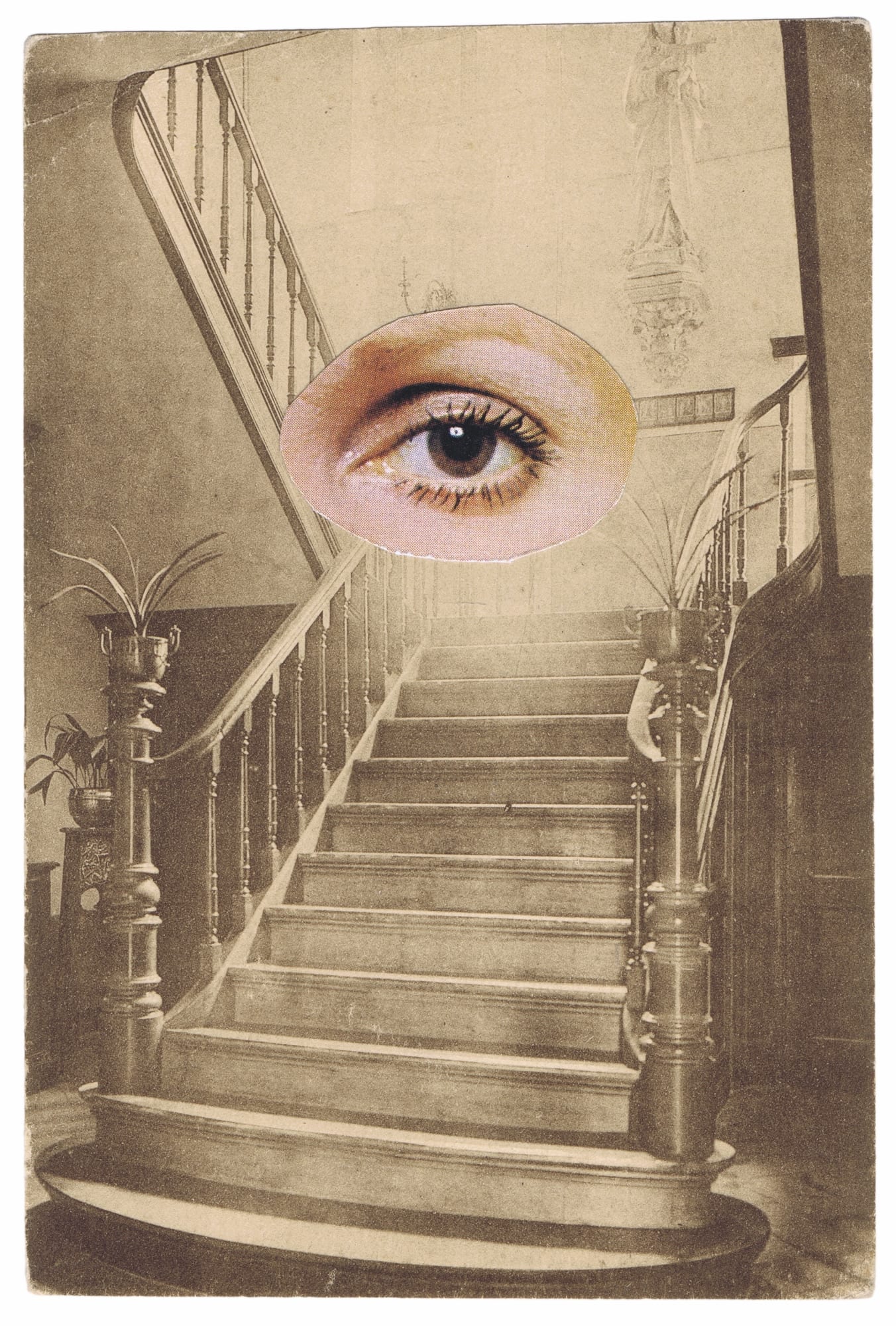 Nicolas Van Parys, Insight