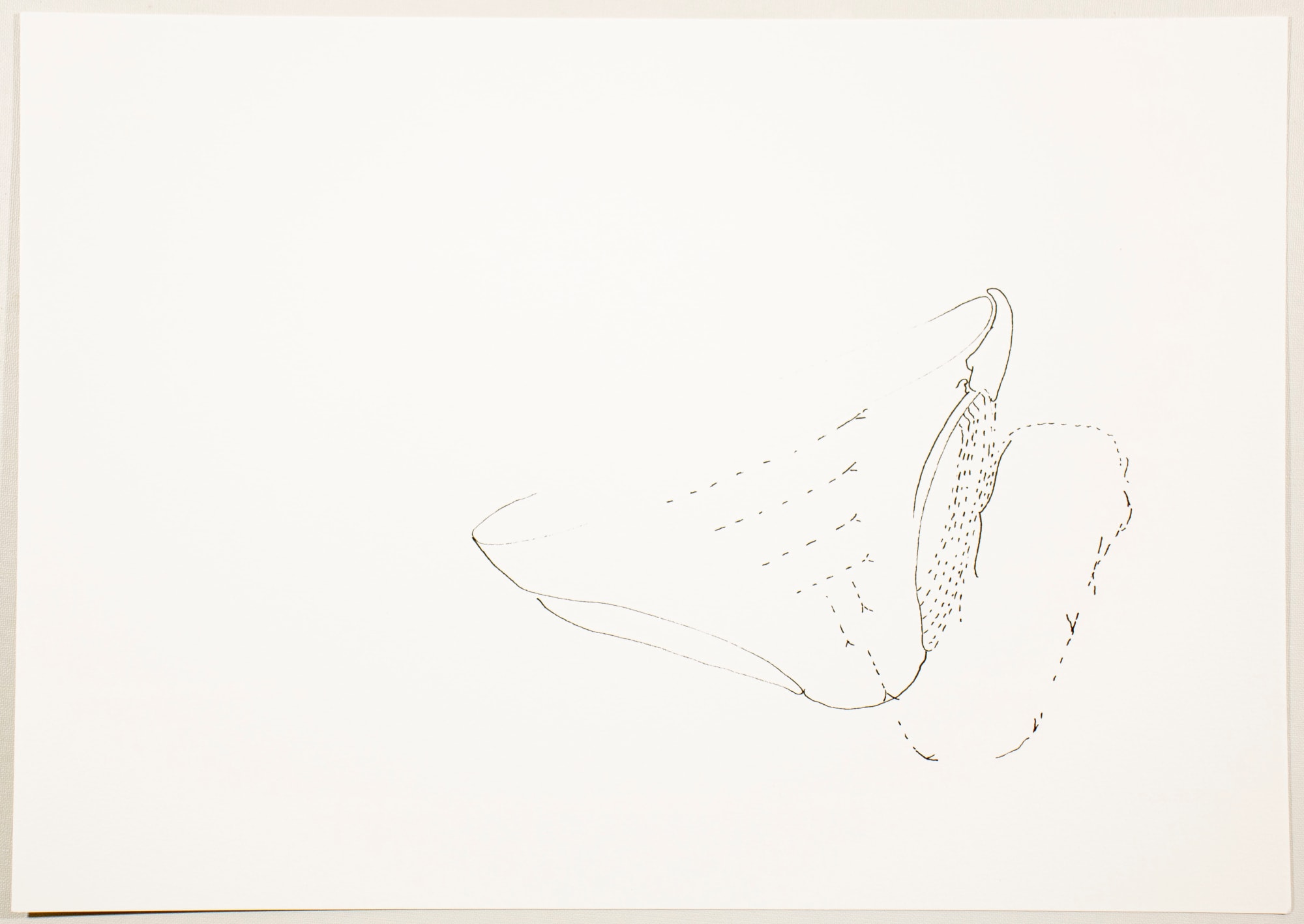 Willem Vermeersch, Rating, 2023