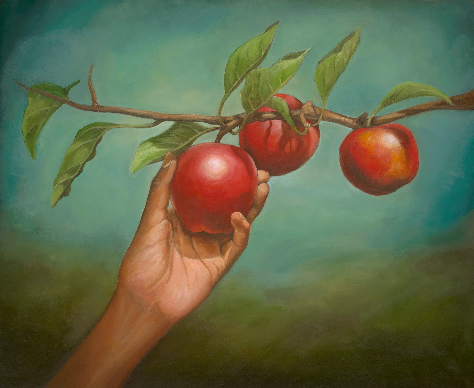 Gordon Shadrach, Nourish, 2022