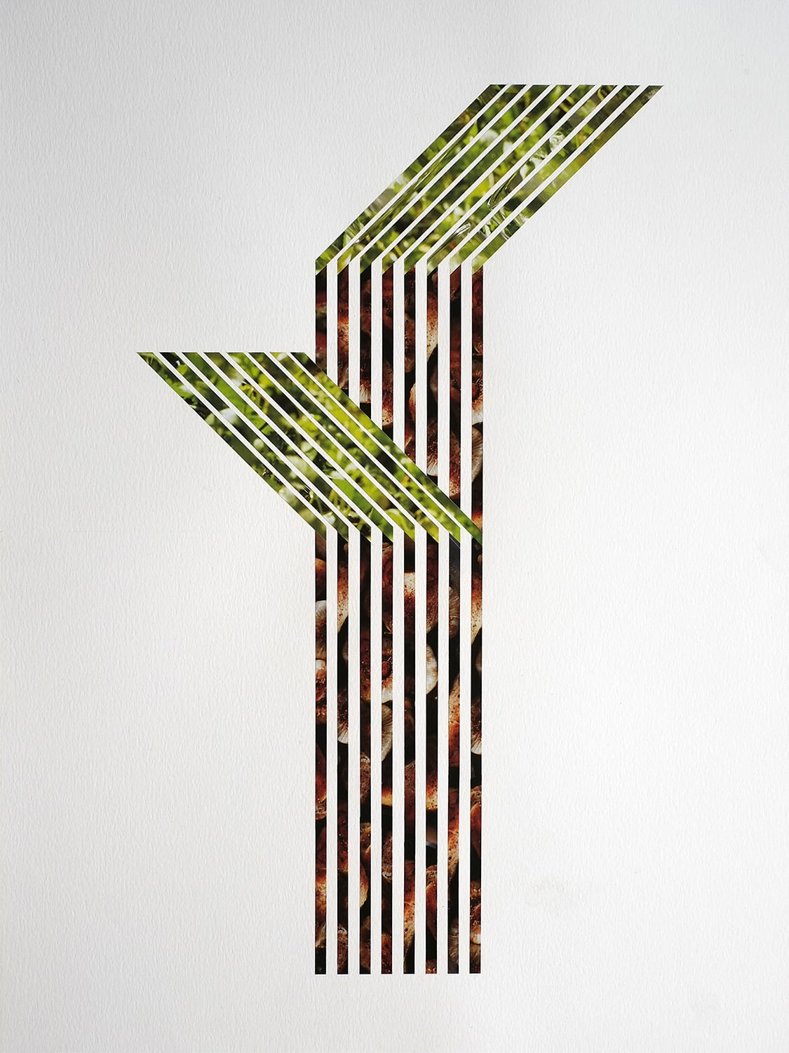 Huy Lam, Pina Brava, 2021