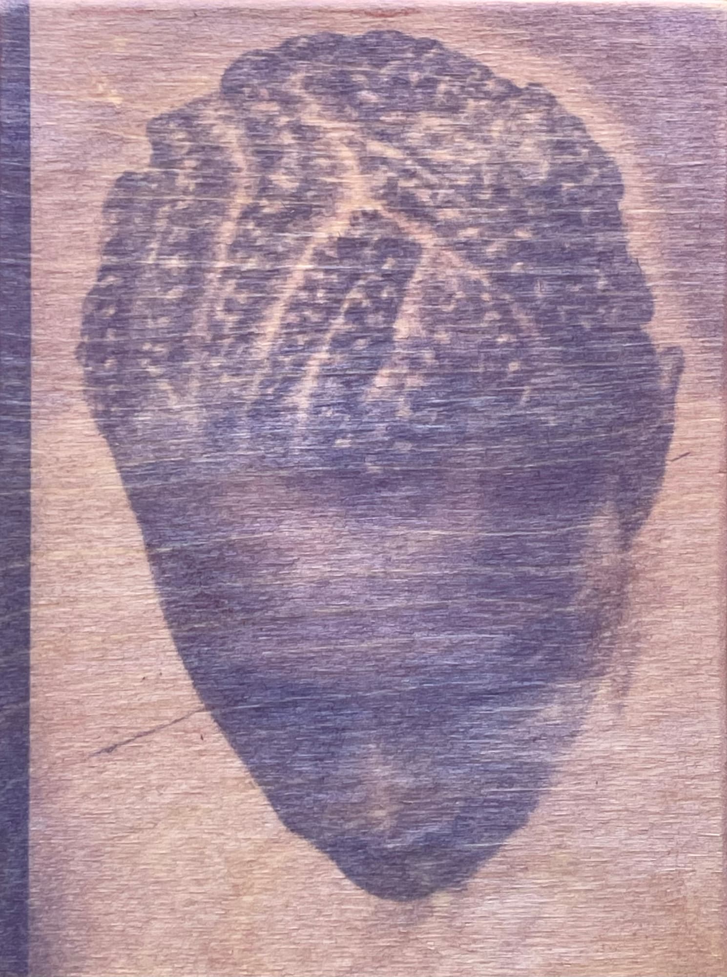 Ehiko Odeh, Aura, 2025