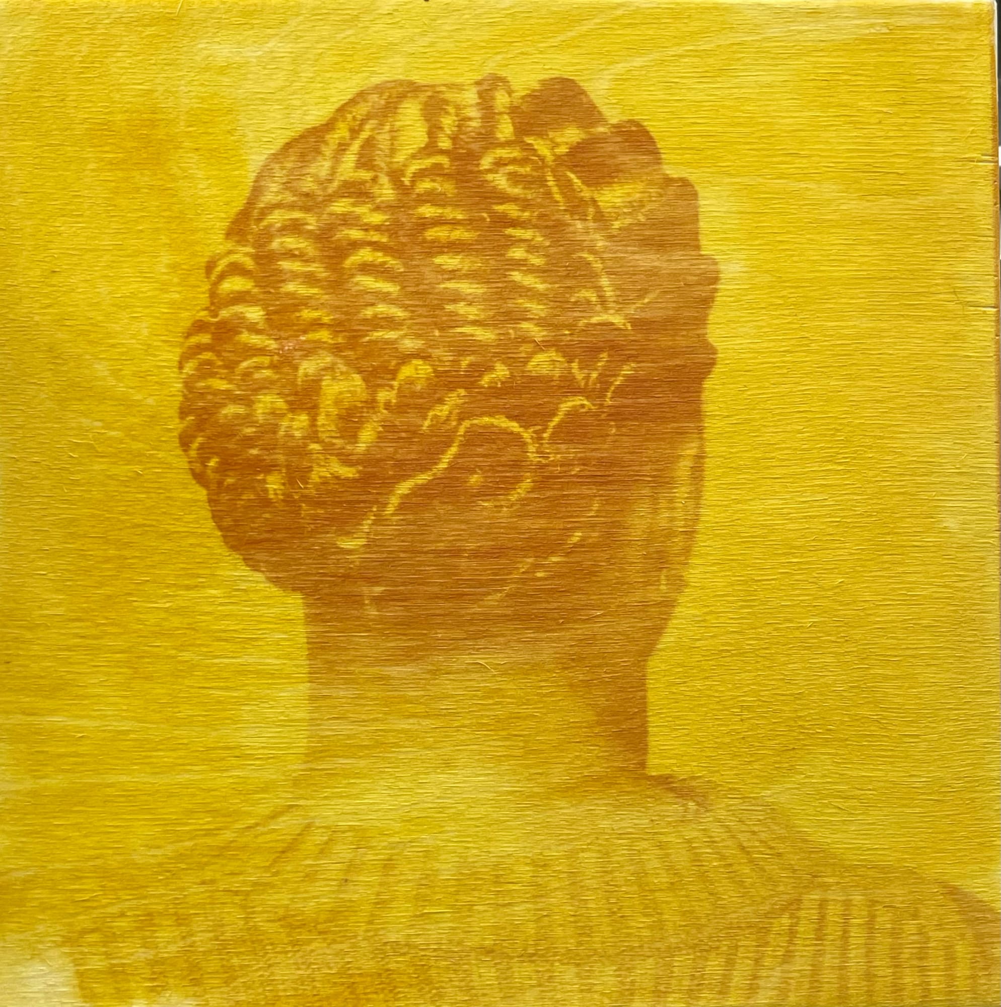 Ehiko Odeh, Twist, 2025