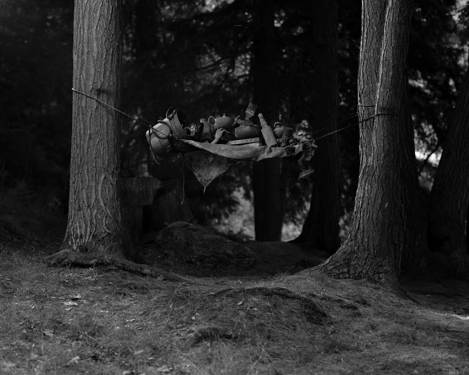 Ryan Van Der Hout, I Think I Over Estimated, 2021