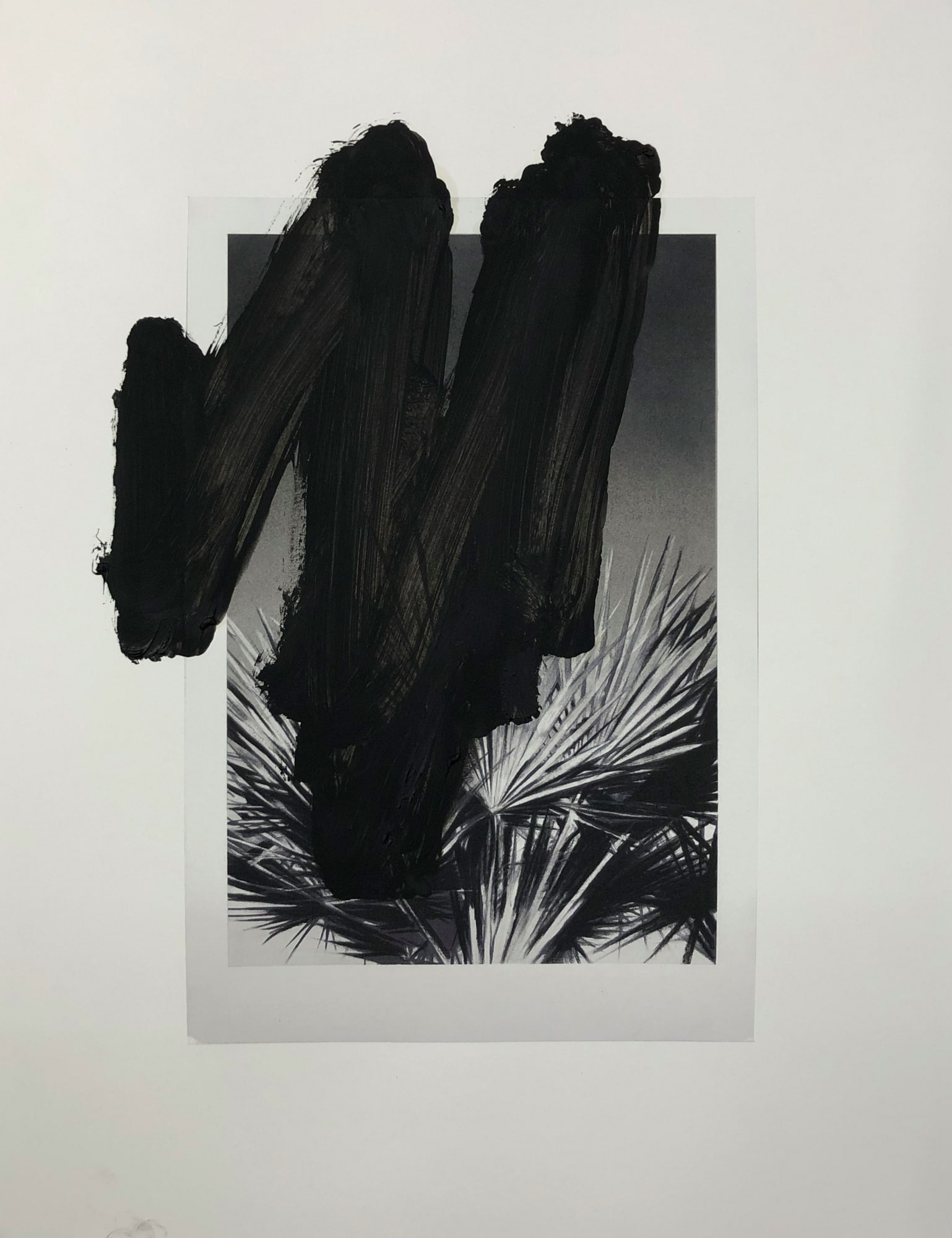 VALENTIN VAN DER MEULEN, Recherche Végétation 05, 2020