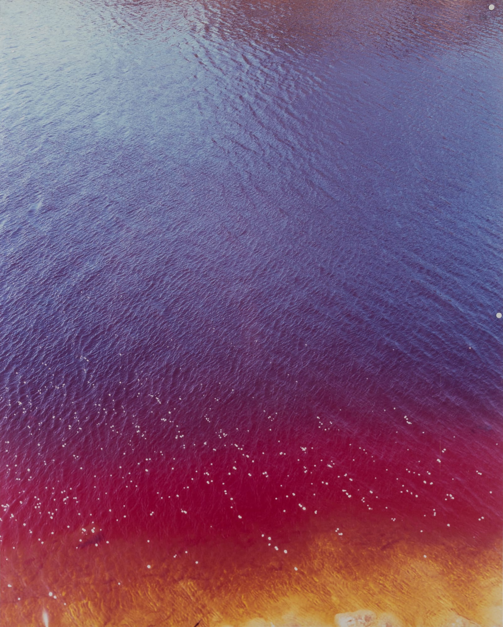 Sebastien Reuze, Riviere DSC_0311, 2021