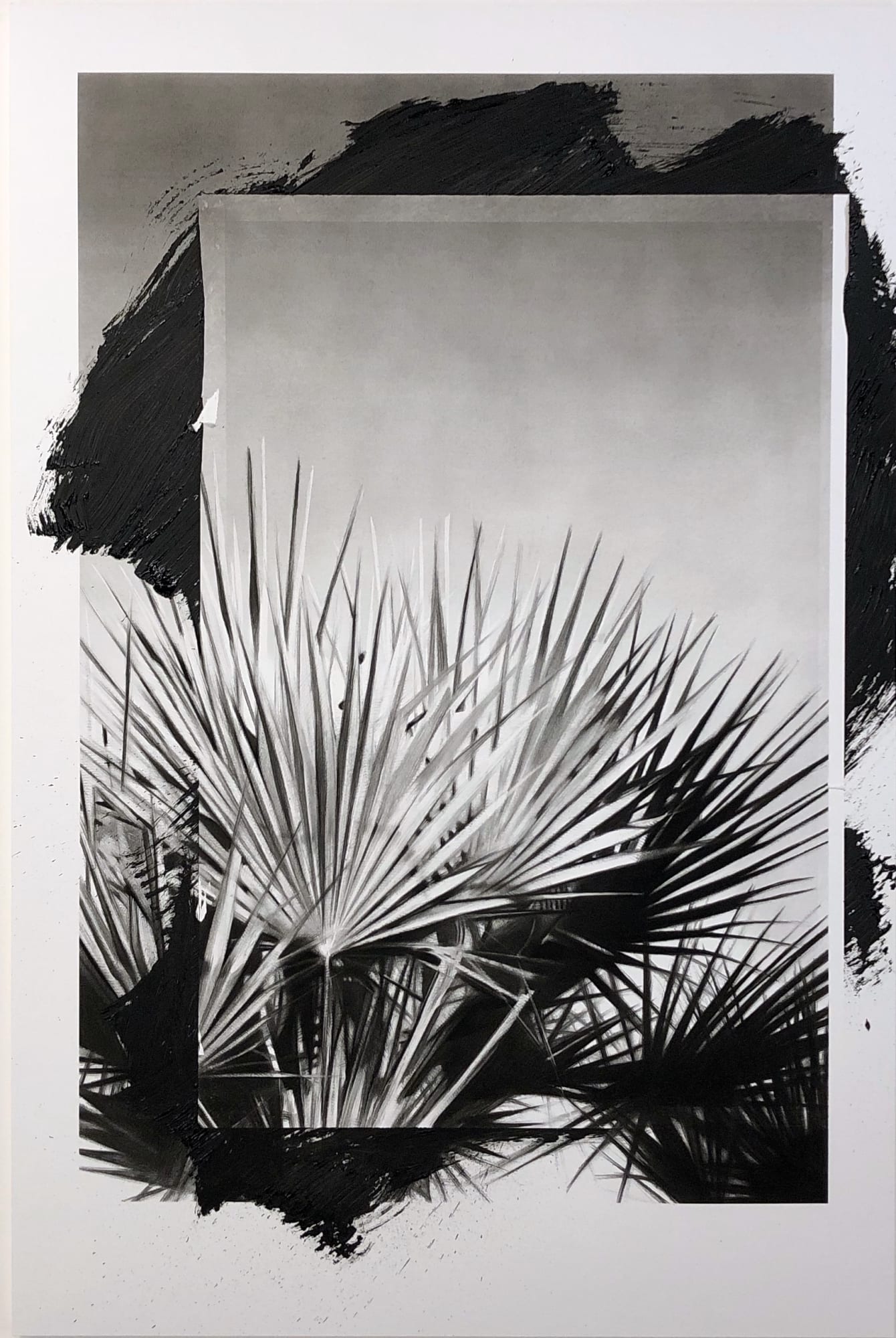 Valentin van der Meulen, Sans Titre Végétation 3, 2021