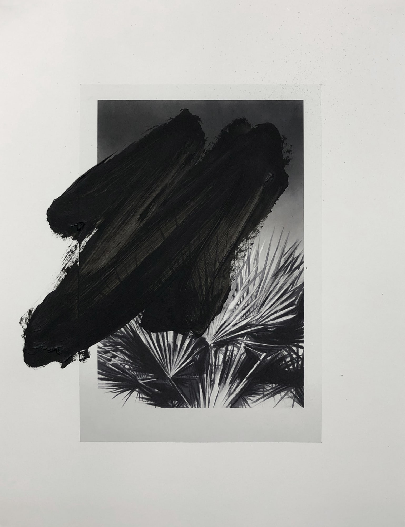 Valentin van der Meulen, Recherche Végétation 03, 2020