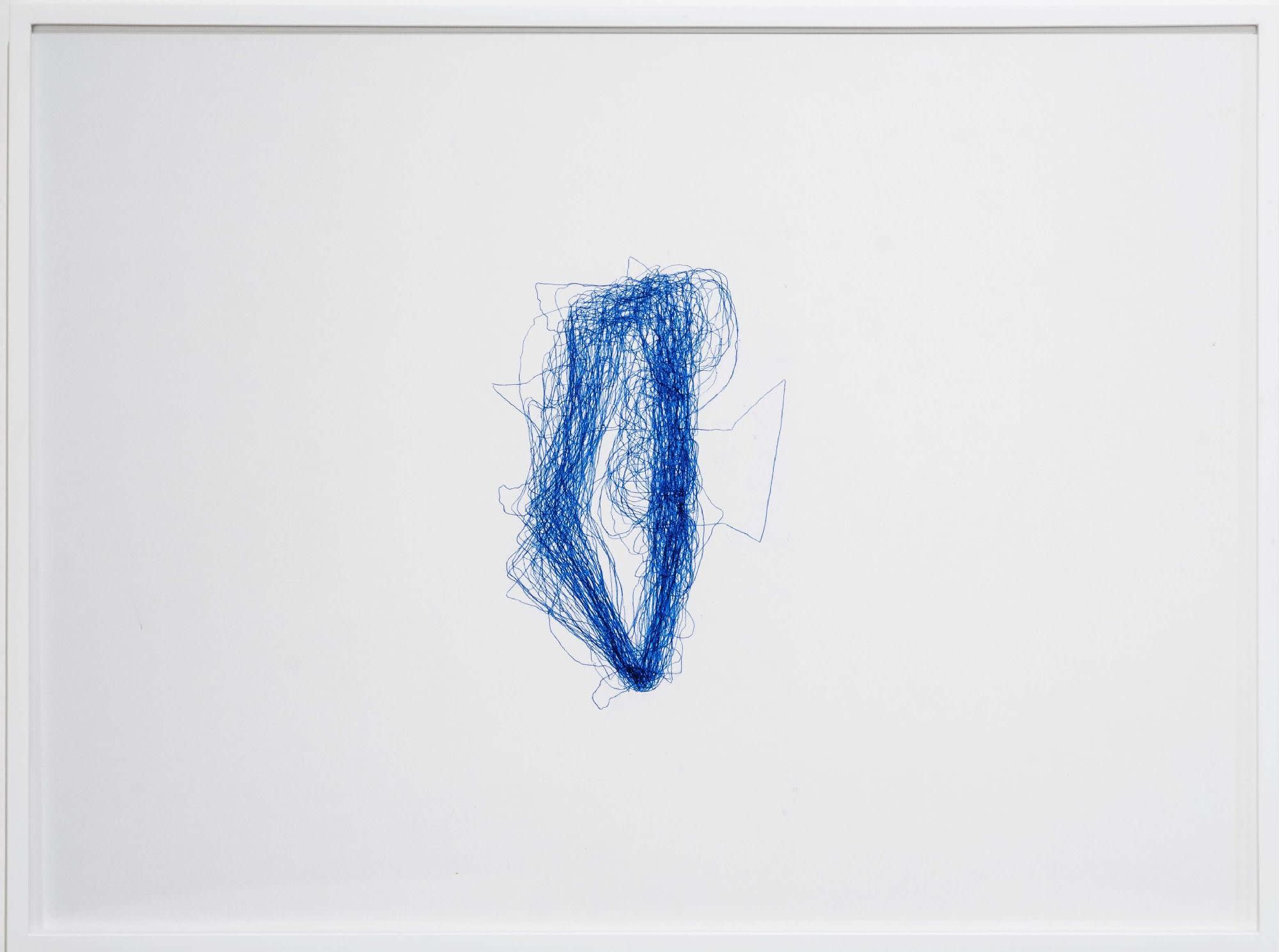 Shilpa Gupta, 100 Hand drawn maps of my country