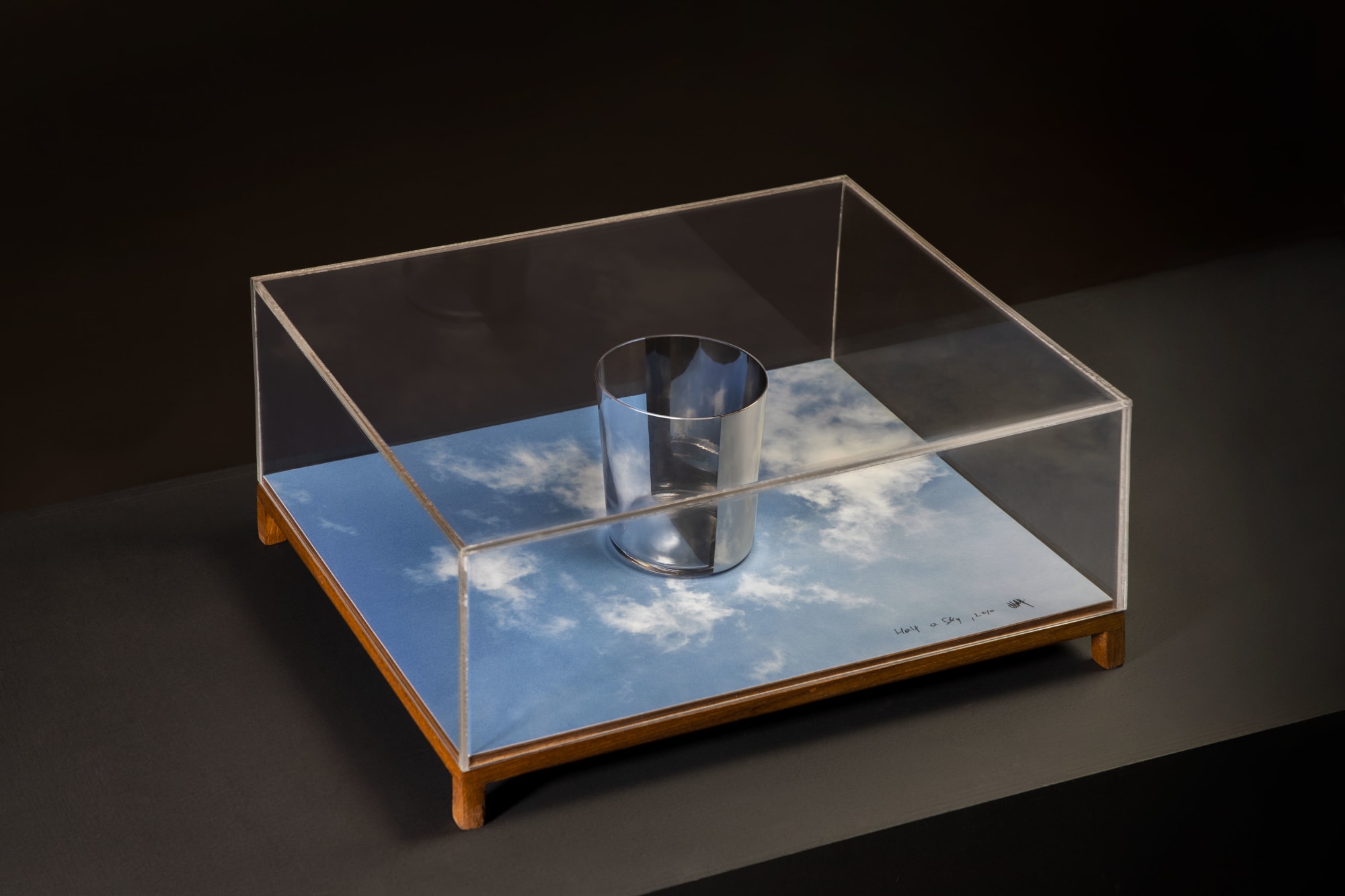 Shilpa Gupta, Half a Sky