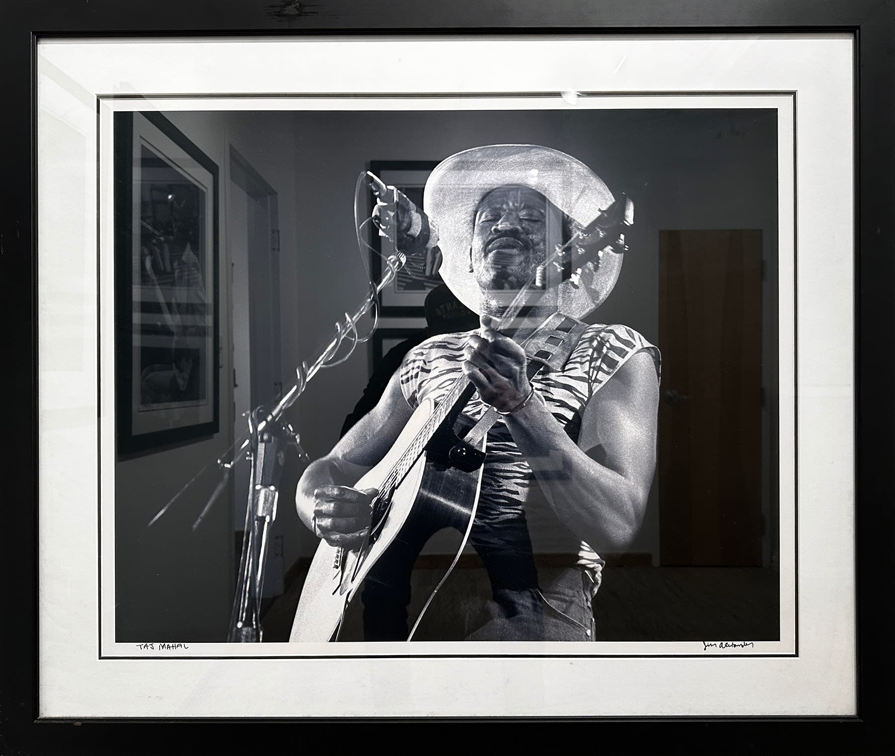 Jim Alexander, Taj Mahal, Atlanta, 1984