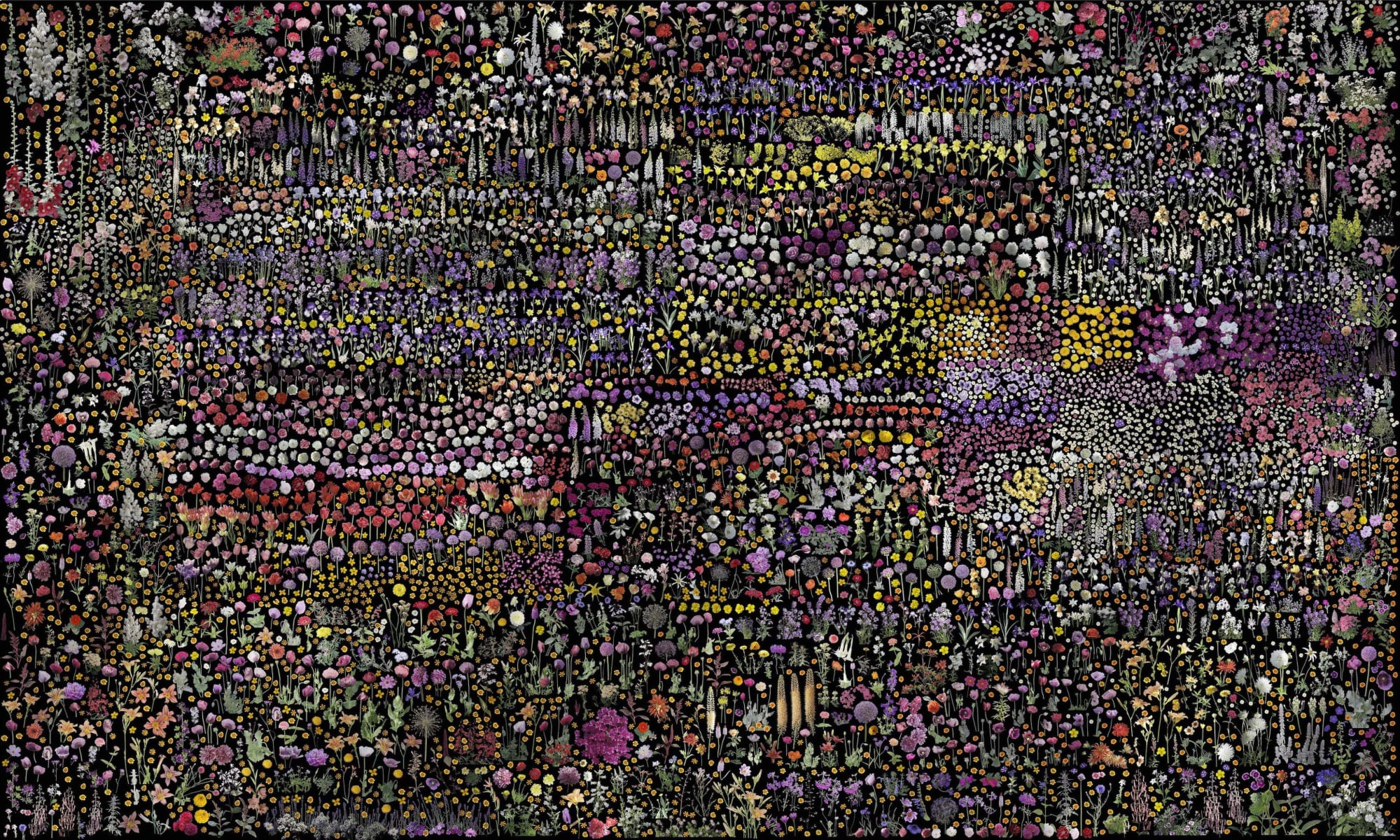 Jean-François Rauzier, Botanic, 2022