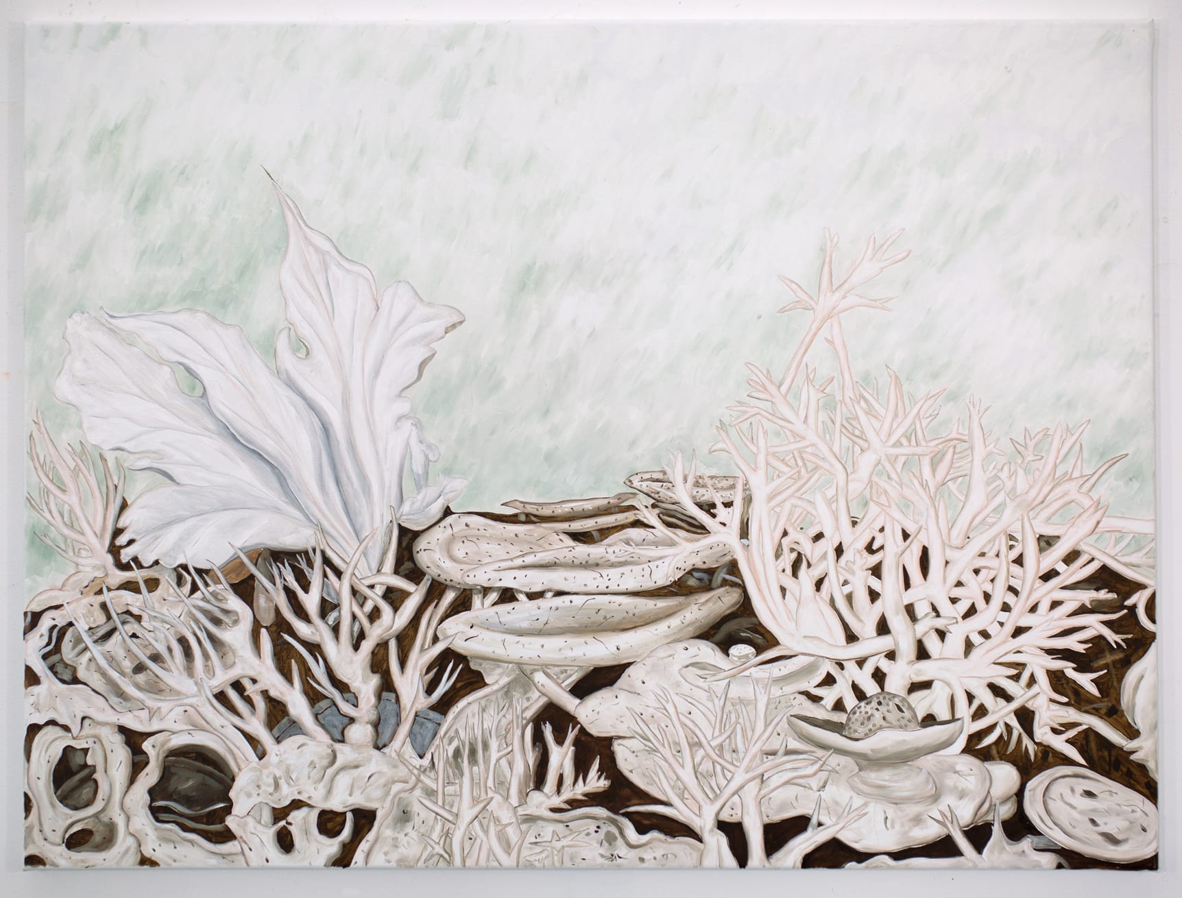 Doug Argue, Untitled, 2022