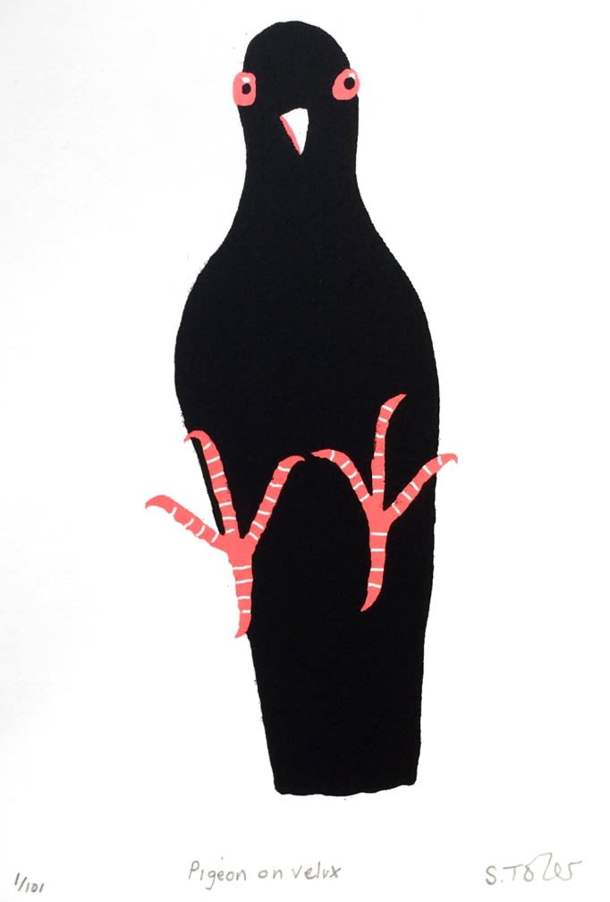 Simon Tozer, Pigeon on Velux