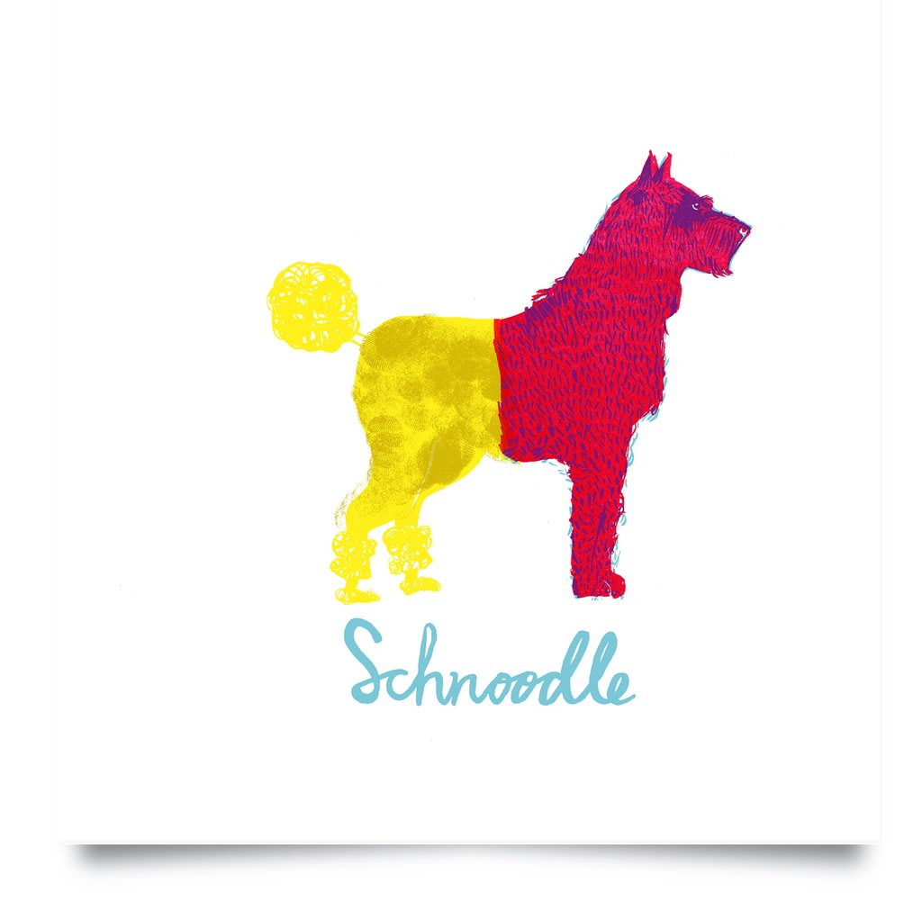Lucie Sheridan, Schnoodle