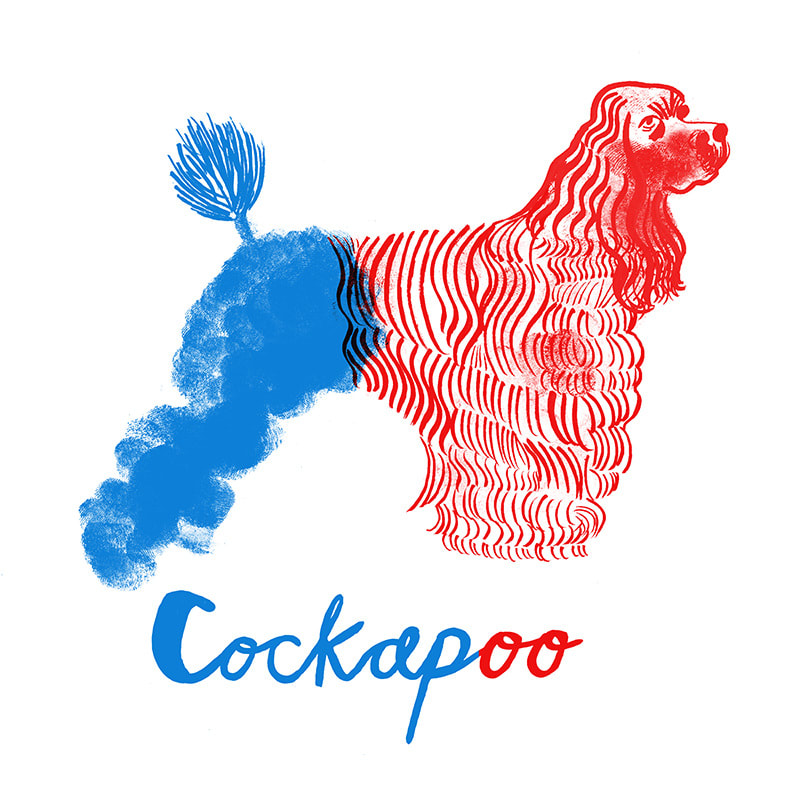 Lucie Sheridan, Cockapoo
