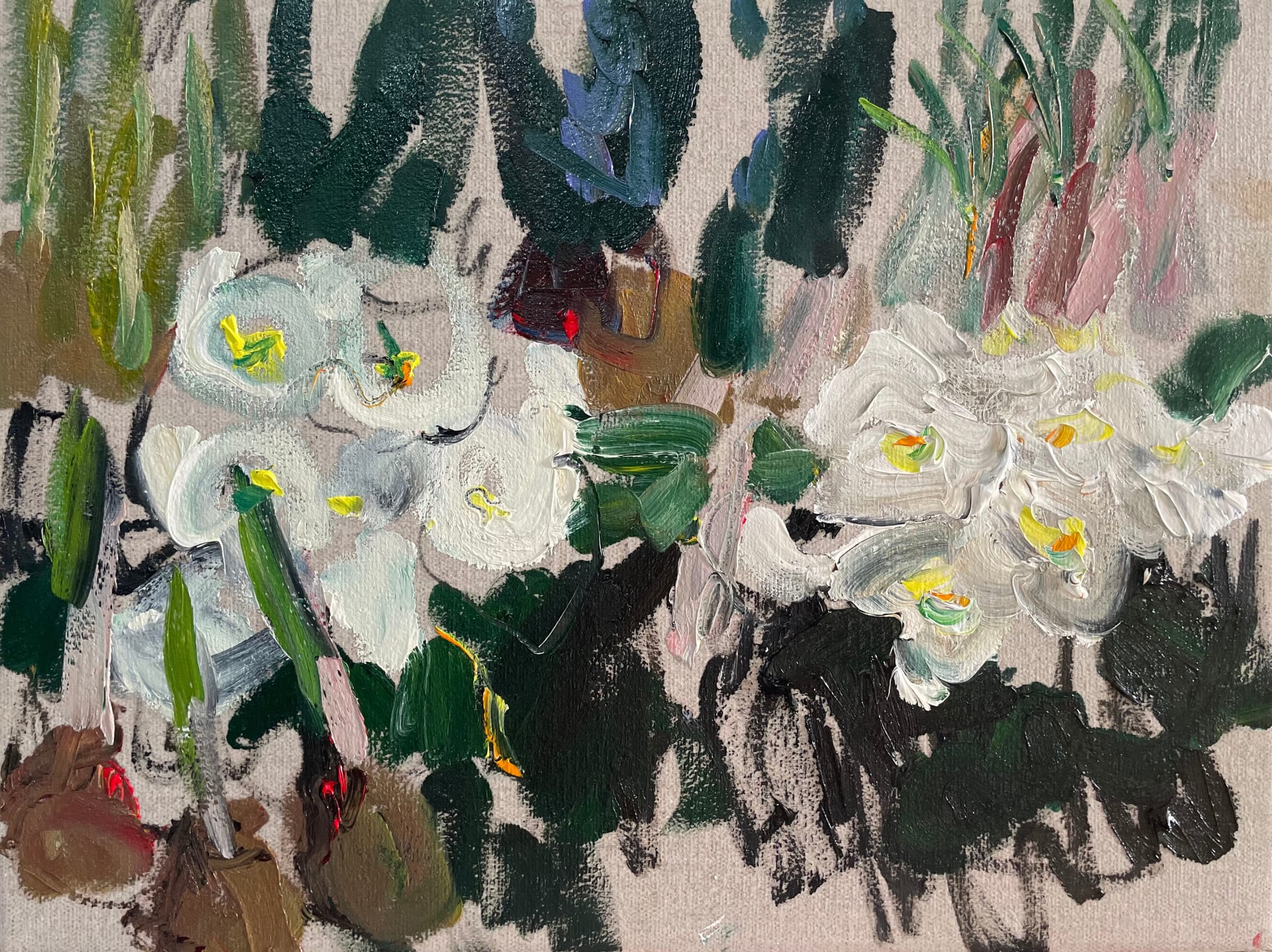 Lilia Orlova-Holmes, WHITE PRIMULAS, 2022