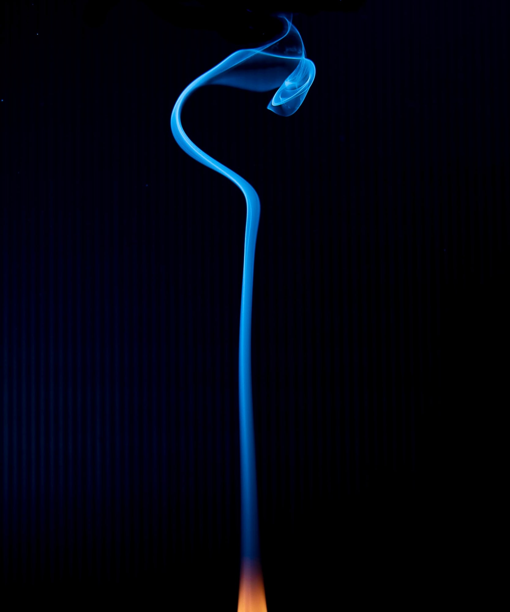 Bruce Eggleston, Up and Around the Bend, 2022 West Eden