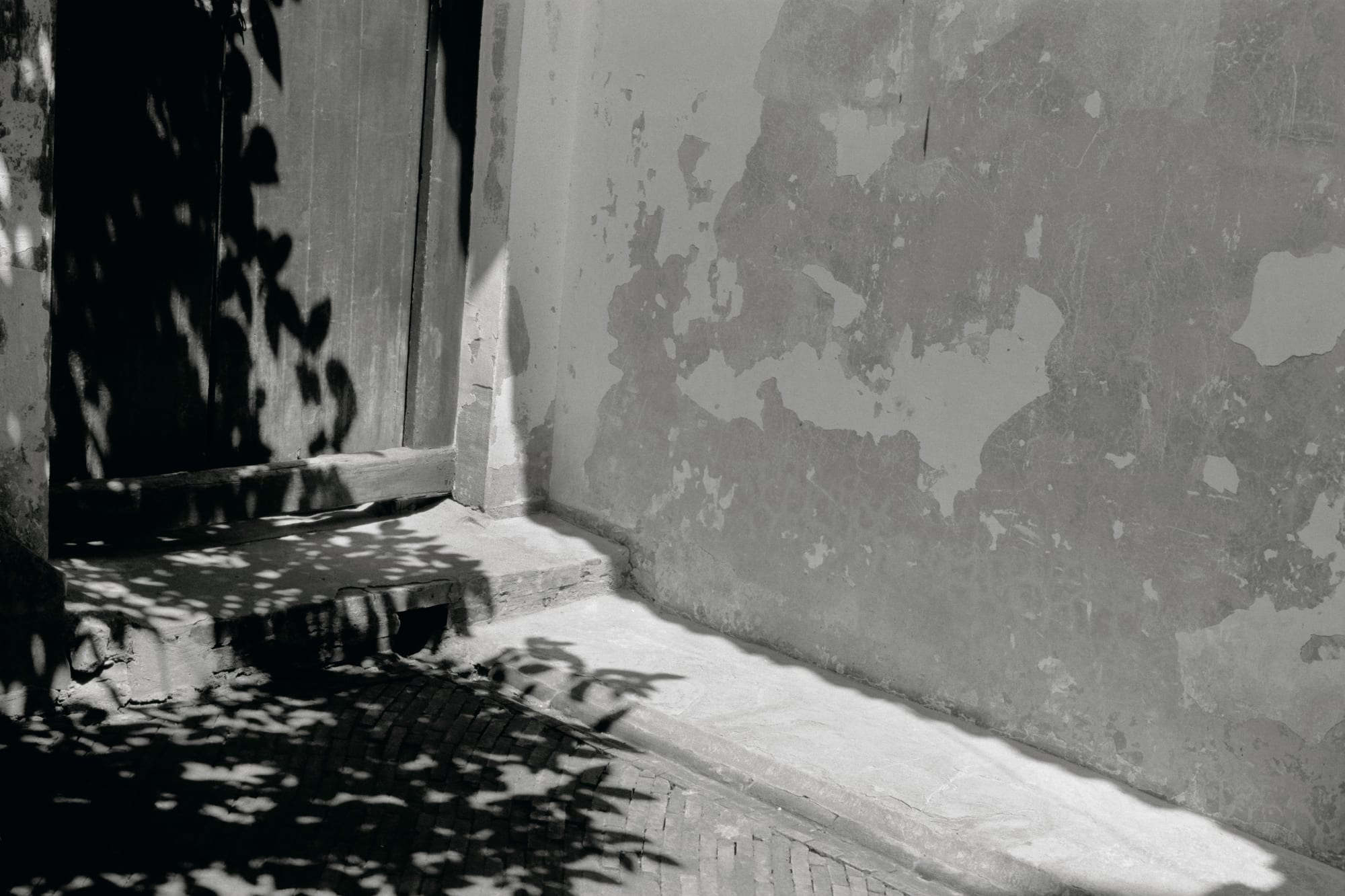 Lee Kang-So, FROM A DREAM, 2006