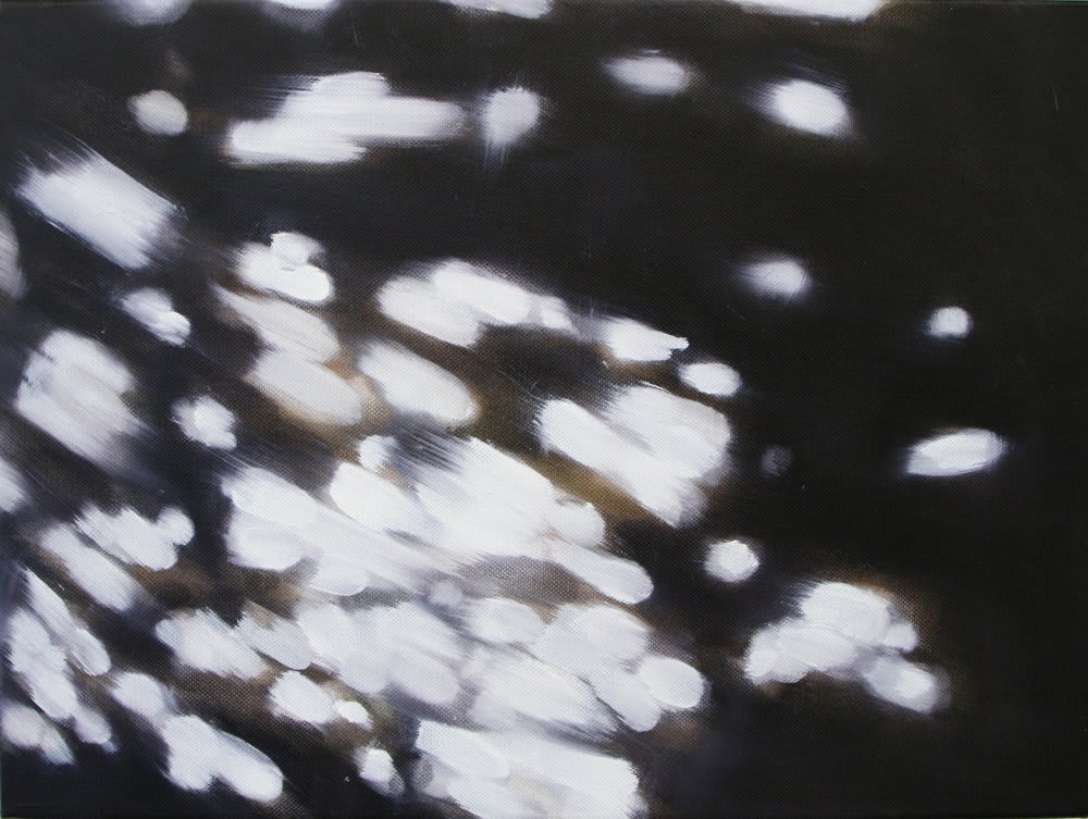 Rachel Lancaster, Reflections, 2008