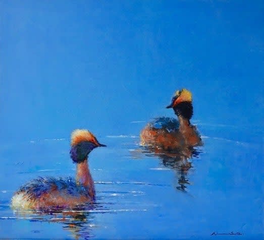 Norman Smith, SLAVONIAN GREBES