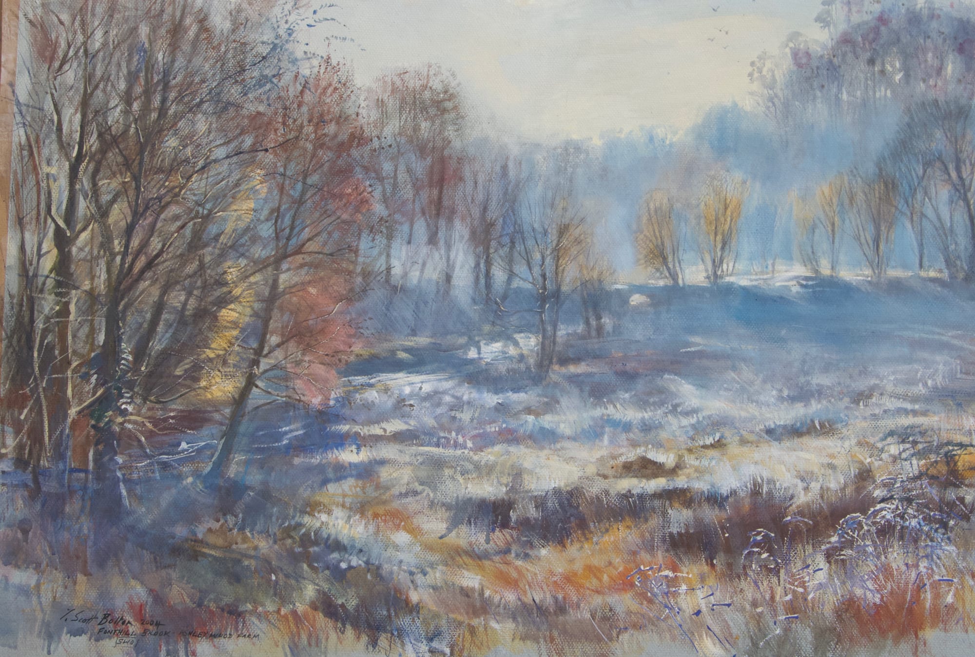 Timothy Scott Bolton, FONTHILL BROOK, ASHLEY WOOD