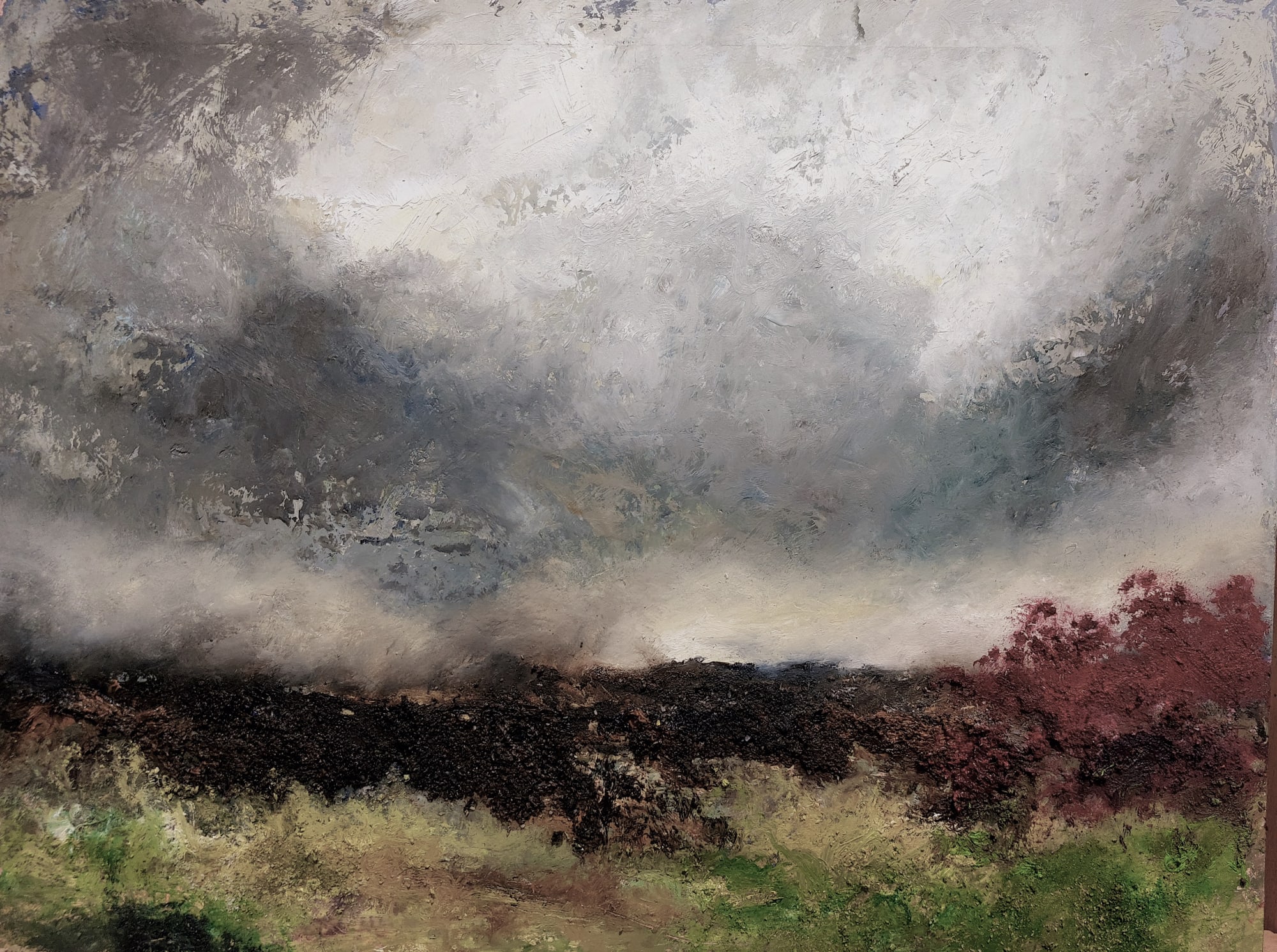 Janet Graham, RED BUSH II, 2022