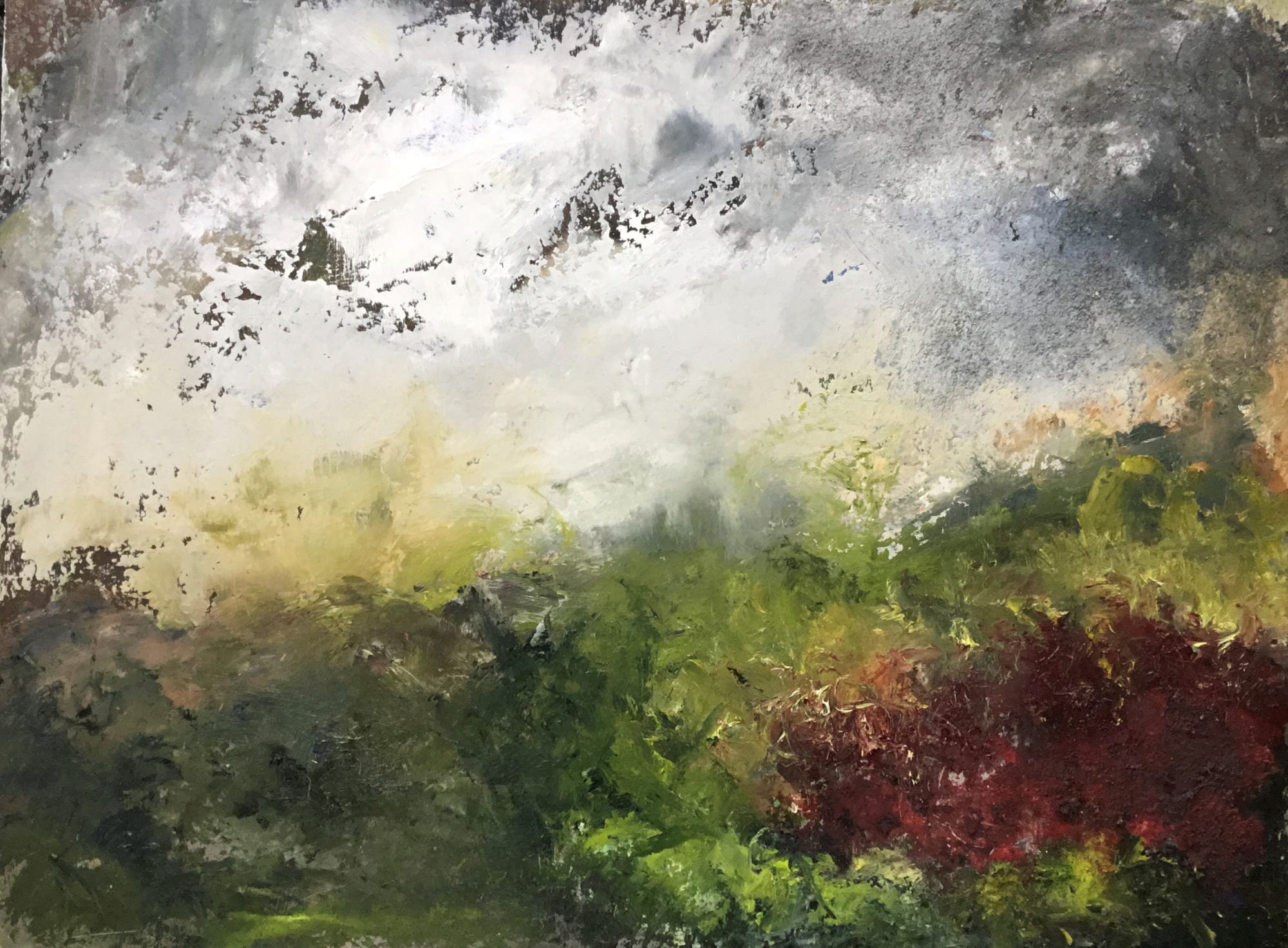 Janet Graham, RED BUSH, 2022