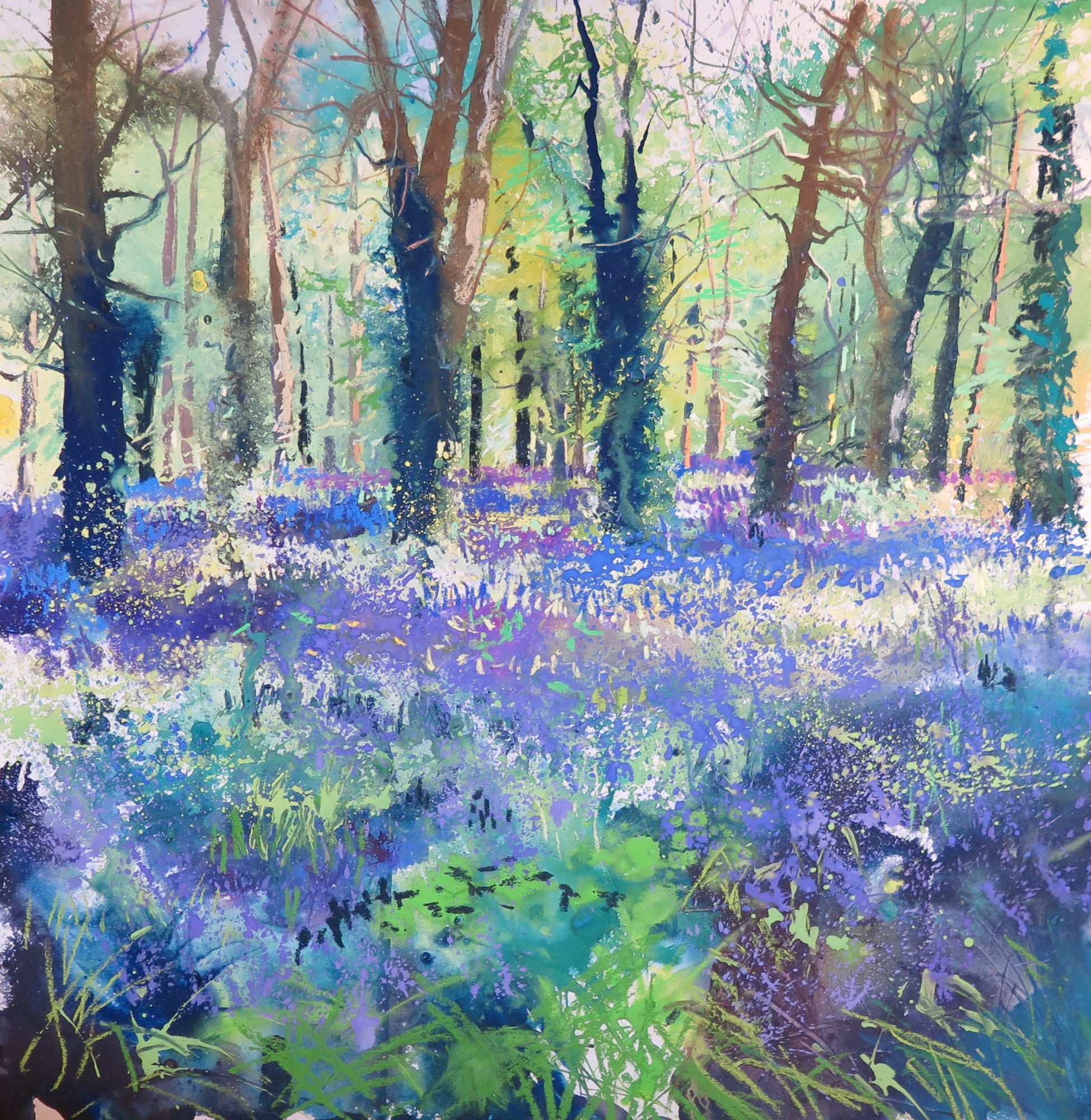 Maureen Davies, SHIMMERING BLUEBELLS