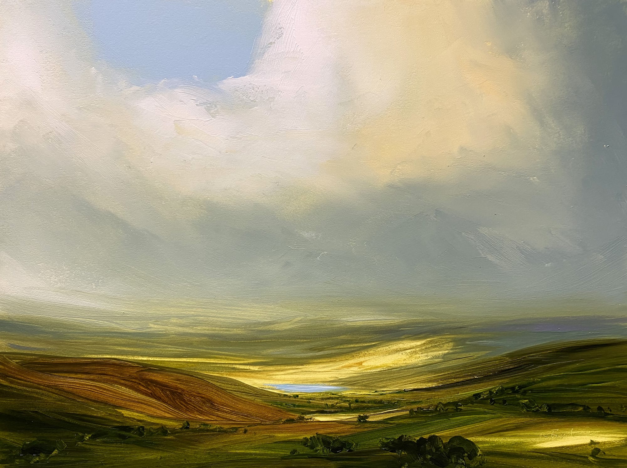 Harry Brioche, FLASH OF BLUE