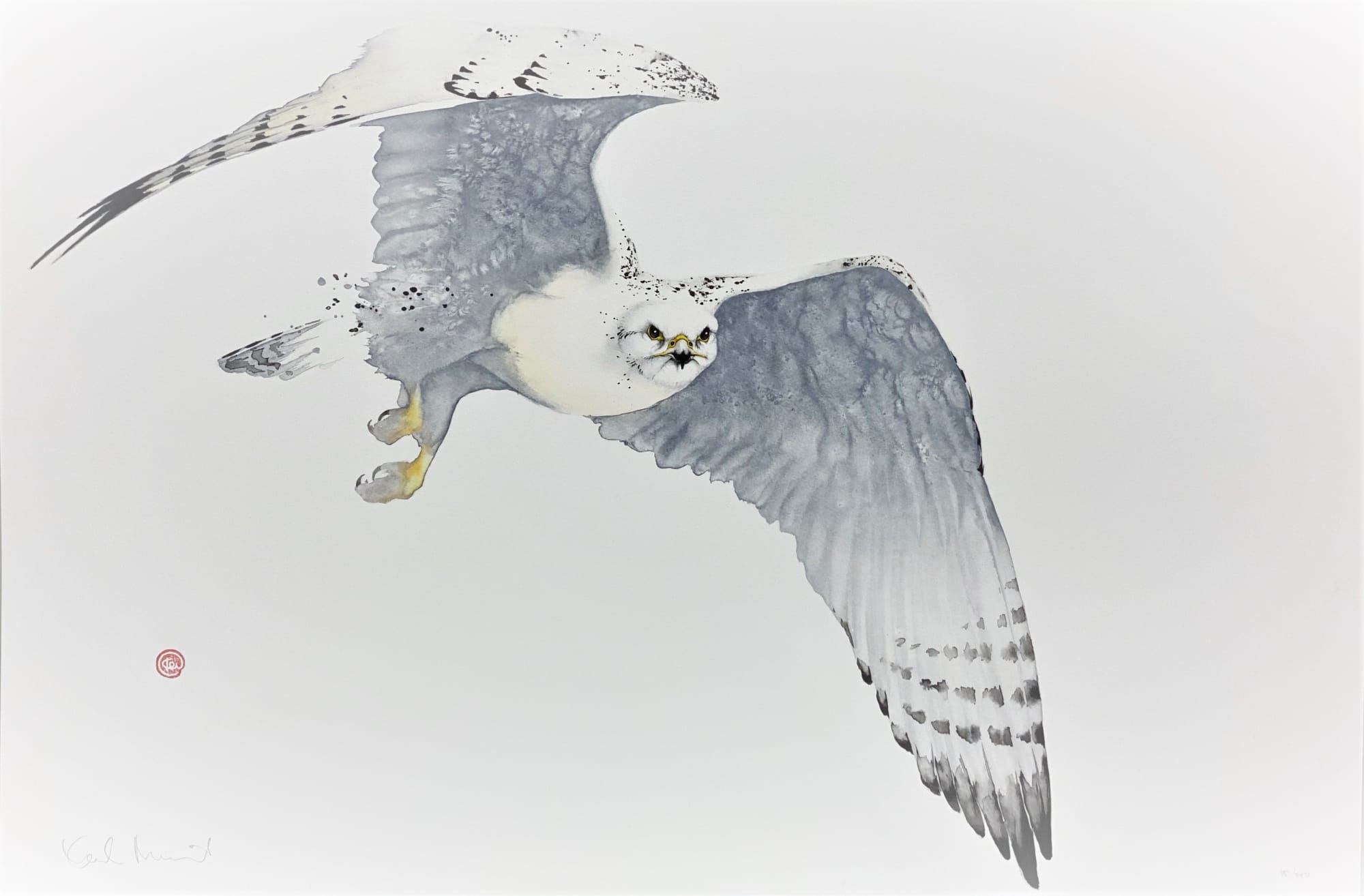 Karl Martens, GYR FALCON, 2022
