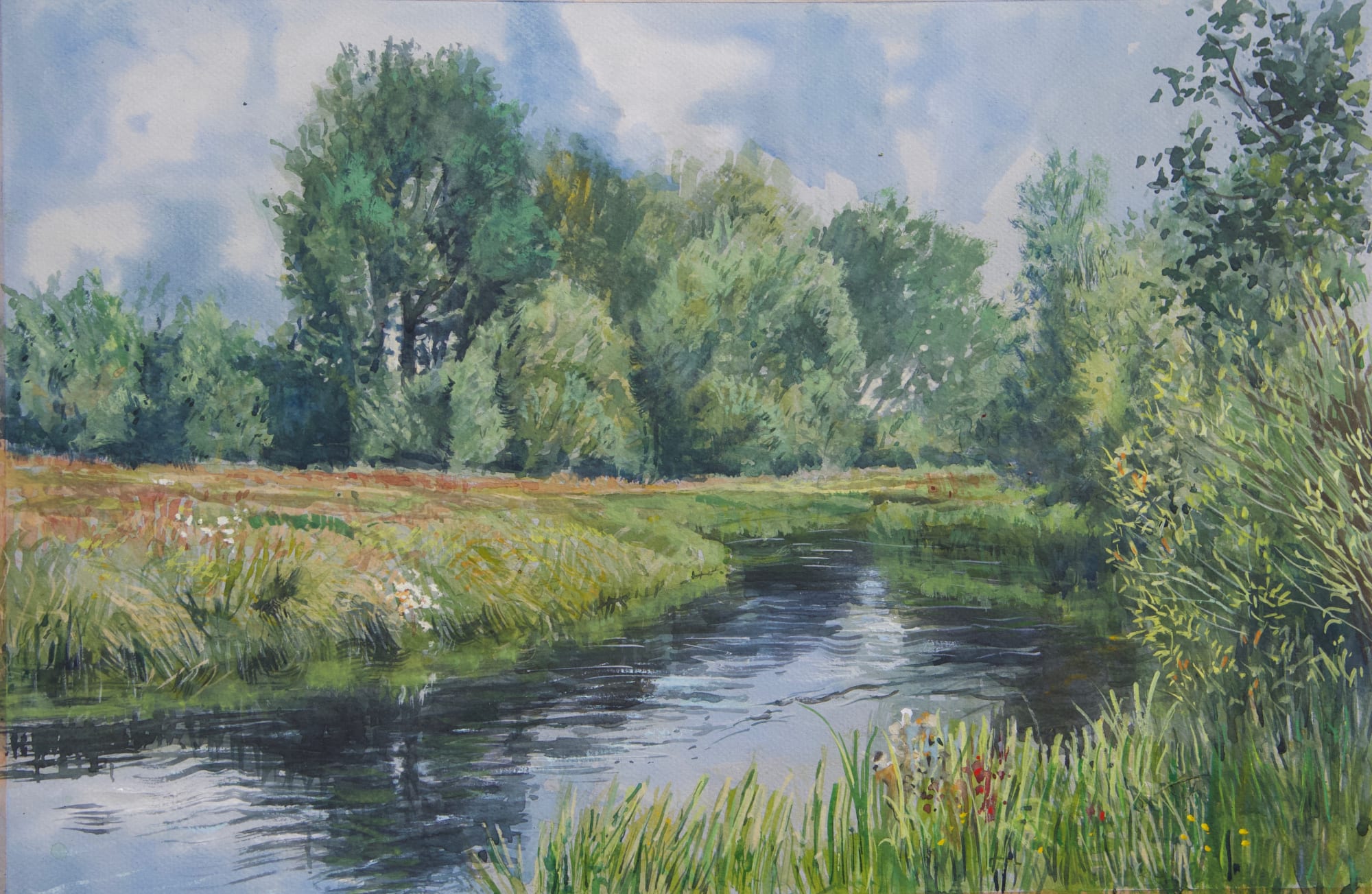 Timothy Scott Bolton, RIVER TEST, STOCKBRIDGE