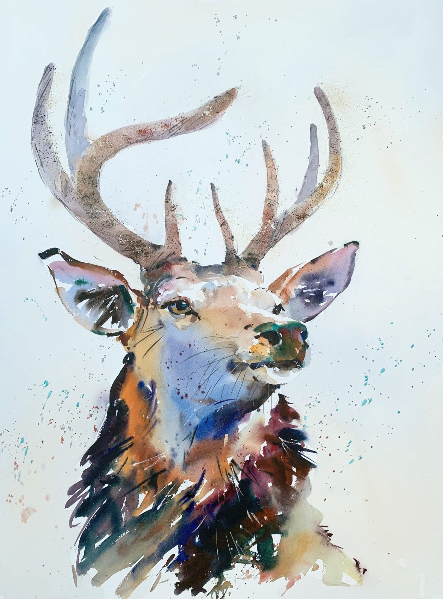 Jake Winkle, MAJESTIC STAG